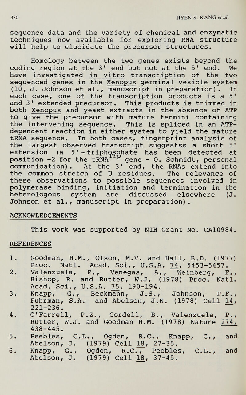 330 H YEN S. KANGeíaZ. sequence data and the variety of chemical and enzymatic techniques now available for exploring RNA structure will help to elucidate the precursor structures. Homology between the two genes exists beyond the coding region at the 3' end but not at the 5' end. We have investigated in vitro transcription of the two sequenced genes in the Xenopus germinal vesicle system (10, J. Johnson et al., manuscript in preparation). In each case, one of the transcription products is a 5' and 3' extended precursor. This products is trimmed in both Xenopus and yeast extracts in the absence of ATP to give the precursor with mature termini containing the intervening sequence. This is spliced in an ATP- dependent reaction in either system to yield the mature tRNA sequence. In both cases, fingerprint analysis of the largest observed transcript suggestss a short 5' extension (a 5triphosphate has been detected at position -2 for the tRNA gene - O. Schmidt, personal communication). At the 3' end, the RNAs extend into the common stretch of U residues. The relevance of these observations to possible sequences involved in polymerase binding, initiation and termination in the heterologous system are discussed elsewhere (J. Johnson et al., manuscript in preparation). ACKNOWLEDGEMENTS This work was supported by NIH Grant No. CA10984. REFERENCES 1. Goodman, H.M., Olson, M.V. and Hall, B.D. (1977) Proc. Natl. Acad. Sci., U.S.A. 7^, 5453-5457. 2. Valenzuela, P., Venegas, A., Weinberg, F., Bishop, R. and Rutter, W.J. (1978) Proc. Natl. Acad. Sci., U.S.A. 1^, 190-194. 3. Knapp, G., Beckmann, J.S., Johnson, P.F., Fuhrman, S.A. and Abelson, J.N. (1978) Cell 14, 221-236. 4. O'Farrell, P.Z., Cordell, В., Valenzuela, P., Rutter, W.J. and Goodman H.M. (1978) Nature 274, 438-445. 5. Peebles, C.L., Ogden, R.C., Knapp, G., and Abelson, J. (1979) Cell ]^, 27-35. 6. Knapp, G. , Ogden, R.C., Peebles, C.L., and Abelson, J. (1979) Cell 18, 37-45.