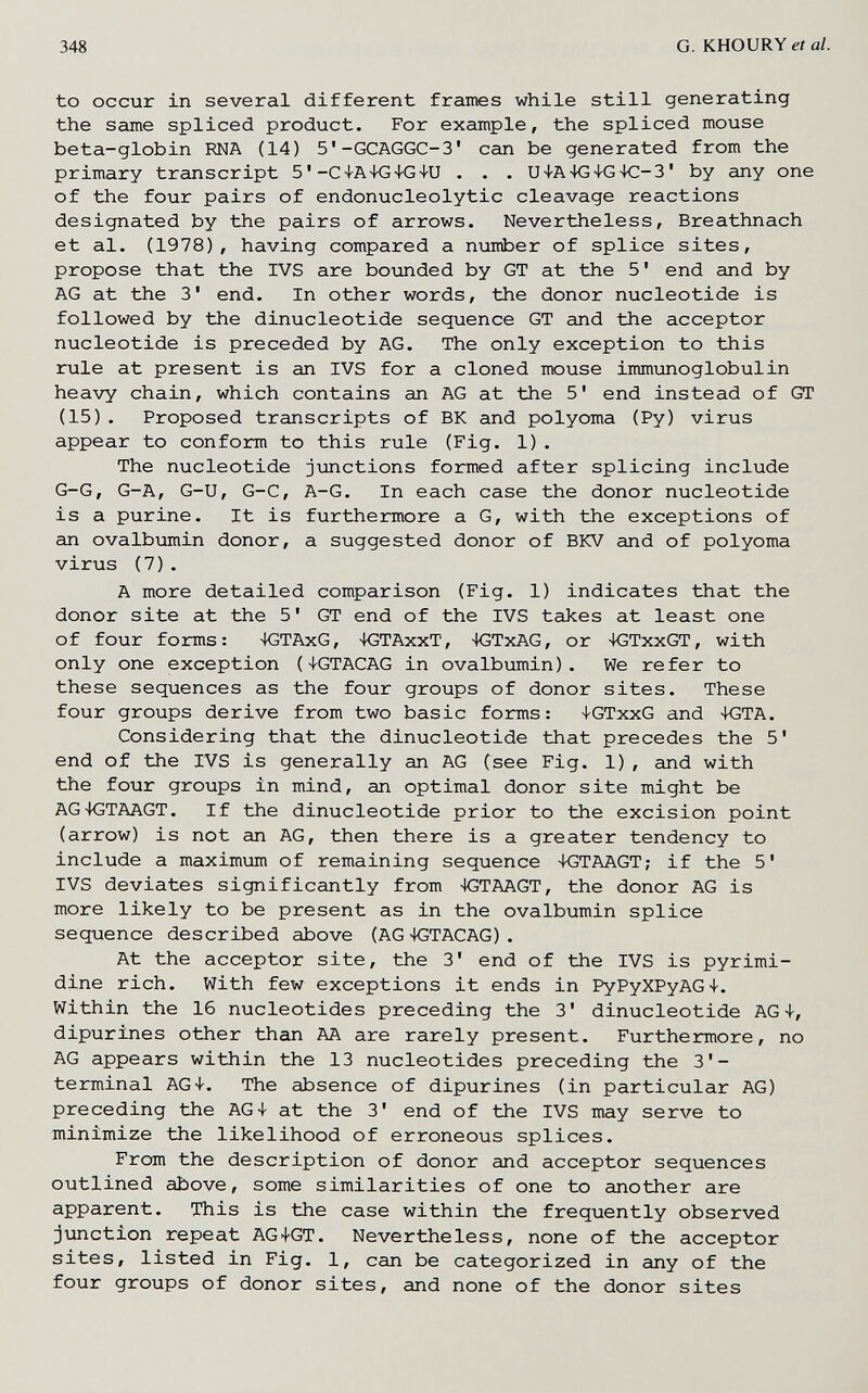 348 G. KHOURY et al. to occur in several different frames while still generating the same spliced product. For example, the spliced mouse beta-globin RNA (14) 5'-GCAGGC-3' can be generated from the primary transcript 5 '-C 4-A4-G4-G-HJ . . . U+A 4G-l-G-IG-3 ' by any one of the four pairs of endonucleolytic cleavage reactions designated by the pairs of arrows. Nevertheless, Breathnach et al. (1978), having compared a nuiriber of splice sites, propose that the IVS are bomded by GT at the 5 ' end and by AG at the 3' end. In other words, the donor nucleotide is followed by the dinucleotide sequence GT and the acceptor nucleotide is preceded by AG. The only exception to this rule at present is an IVS for a cloned mouse immunoglobulin heavy chain, which contains an AG at the 5' end instead of GT (15). Proposed transcripts of BK and polyoma (Py) virus appear to conform to this rule (Fig. 1). The nucleotide junctions formed after splicing include G-G, G-A, G-U, G-C, A-G. In each case the donor nucleotide is a purine. It is furthermore a G, with the exceptions of an ovalbumin donor, a suggested donor of BKV and of polyoma virus (7). A more detailed comparison (Fig. 1) indicates that the donor site at the 5' GT end of the IVS takes at least one of four fojnns: 4GTAxG, 4GTAxxT, 4GTxAG, or 4GTxxGT, with only one exception (-l-GTACAG in ovalbumin). We refer to these sequences as the four groups of donor sites. These four groups derive from two basic forms: 4-GTxxG and 4GTA. Considering that the dinucleotide that precedes the 5' end of the IVS is generally an AG (see Fig. 1), and with the four groups in mind, an optimal donor site might be AG4GTAAGT. If the dinucleotide prior to the excision point (arrow) is not an AG, then there is a greater tendency to include a maximum of remaining sequence -KSTAAGT; if the 5' IVS deviates significantly from 4GTAAGT, the donor AG is more likely to be present as in the ovalbumin splice sequence described above (AG4GTACAG). At the acceptor site, the 3' end of the IVS is pyrimi- dine rich. With few exceptions it ends in PyPyXPyAG4-. Within the 16 nucleotides preceding the 3' dinucleotide AG+, dipurines other than AA are rarely present. Furthermore, no AG appears within the 13 nucleotides preceding the 3'- terminal AG4-. The absence of dipurines (in particular AG) preceding the AG+ at the 3' end of the IVS may serve to minimize the likelihood of erroneous splices. From the description of donor and acceptor sequences outlined above, some similarities of one to another are apparent. This is the case within the frequently observed junction repeat AG4-GT. Nevertheless, none of the acceptor sites, listed in Fig. 1, can be categorized in any of the four groups of donor sites, and none of the donor sites
