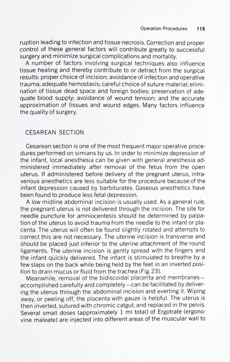 Operation Procedures 115 ruption leading to infection and tissue necrosis. Correction and proper control of these general factors will contribute greatly to successful surgery and minimize surgical complications and mortality. A number of factors involving surgical techniques also influence tissue healing and thereby contribute to or detract from the surgical results: proper choice of incision; avoidance of infection and operative trauma; adequate hemostasis; careful choice of suture material; elimi¬ nation of tissue dead space and foreign bodies; preservation of ade¬ quate blood supply; avoidance of wound tension; and the accurate approximation of tissues and wound edges. Many factors influence the quality of surgery. CESAREAN SECTION Cesarean section is one of the most frequent major operative proce¬ dures performed on simians by us. In order to minimize depression of the infant, local anesthesia can be given with general anesthesia ad¬ ministered immediately after removal of the fetus from the open uterus. If administered before delivery of the pregnant uterus, intra¬ venous anesthetics are less suitable for the procedure because of the infant depression caused by barbiturates. Gaseous anesthetics have been found to produce less fetal depression. A low midline abdominal incision is usually used. As a general rule, the pregnant uterus is not delivered through the incision. The site for needle puncture for amniocentesis should be determined by palpa¬ tion of the uterus to avoid trauma from the needle to the infant or pla¬ centa. The uterus will often be found slightly rotated and attempts to correct this are not necessary. The uterine incision is transverse and should be placed just inferior to the uterine attachment of the round ligaments. The uterine incision is gently spread with the fingers and the infant quickly delivered. The infant is stimulated to breathe by a few slaps on the back while being held by the feet in an inverted posi¬ tion to drain mucus or fluid from the trachea (Fig. 23). Meanwhile, removal of the bidiscoidal placenta and membranes- accomplished carefully and completely —can be facilitated by deliver¬ ing the uterus through the abdominal incision and everting it. Wiping away, or peeling off, the placenta with gauze is helpful. The uterus is then inverted, sutured with chromic catgut, and replaced in the pelvis. Several small doses (approximately 1 ml total) of Ergotrate (ergono- vine maleate) are injected into different areas of the muscular wall to