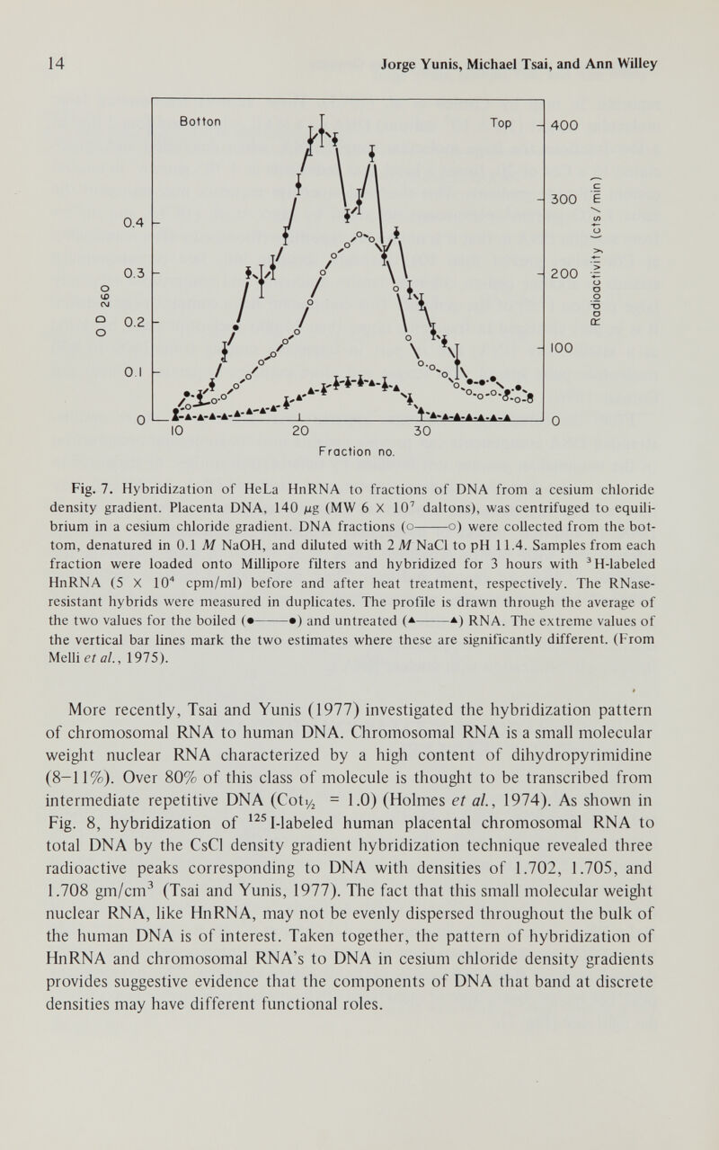 14 Jorge Yunis, Michael Tsai, and Ann Willey <=> 0.2 о о u> OJ 0.4 0.3 Botton Top _ 400 300 E 200 О С > 0.1 о 1:а.ж.а-а.а-а-а-4- 0 10 20 30 Fraction no. Fig. 7. Hybridization of HeLa HnRNA to fractions of DNA from a cesium chloride density gradient. Placenta DNA, 140 jug (MW 6 X 10' daltons), was centrifuged to equili¬ brium in a cesium chloride gradient. DNA fractions (o o) were collected from the bot¬ tom, denatured in 0.1 Л/ NaOH, and diluted with 2 M NaCl to pH 11.4. Samples from each fraction were loaded onto Millipore filters and hybridized for 3 hours with ^H-labeled HnRNA (5 X 10 cpm/ml) before and after heat treatment, respectively. The RNase- resistant hybrids were measured in dupücates. The profile is drawn through the average of the two values for the boiled (• •) and untreated a) RNA. The extreme values of the vertical bar lines mark the two estimates where these are significantly different. (From Melli et al., 1975). i More recently, Tsai and Yunis (1977) investigated the hybridization pattern of chromosomal RNA to human DNA. Chromosomal RNA is a small molecular weight nuclear RNA characterized by a high content of dihydropyrimidine (8-11%). Over 80% of this class of molecule is thouglrt to be transcribed from intermediate repetitive DNA (Coty^ = 1.0) (Holmes et al., 1974). As shown in Fig. 8, hybridization of ^^^I-labeled human placental chromosomal RNA to total DNA by the CsCl density gradient hybridization technique revealed three radioactive peaks corresponding to DNA with densities of 1.702, 1.705, and 1.708 gm/cm^ (Tsai and Yunis, 1977). The fact that this small molecular weiglit nuclear RNA, like HnRNA, may not be evenly dispersed througliout the bulk of the human DNA is of interest. Taken together, the pattern of hybridization of HnRNA and chromosomal RNA's to DNA in cesium chloride density gradients provides suggestive evidence that the components of DNA that band at discrete densities may have different functional roles.