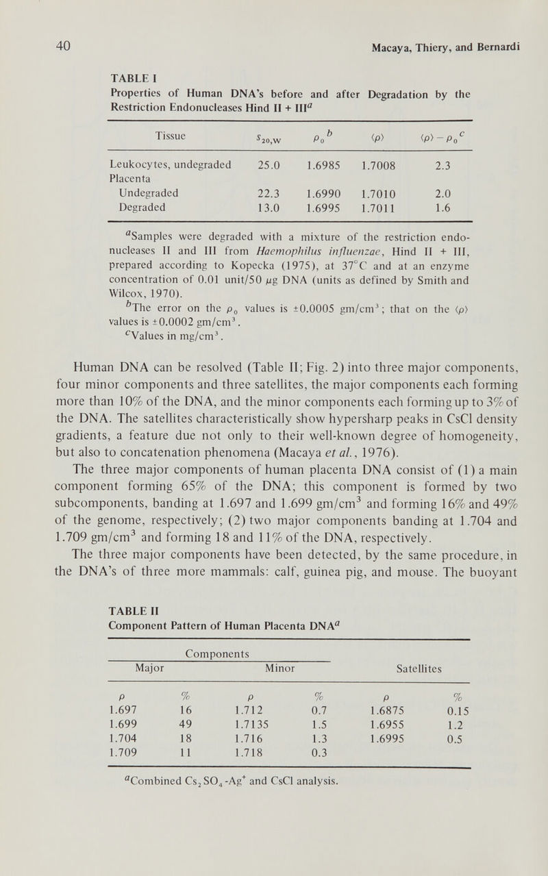 40 Macaya, Thiery, and Bernardi TABLE I Properties of Human DNA's before and after Degradation by the Restriction Endonucleases Hind II + IlF '^Samples were degraded with a mixture of the restriction endo¬ nucleases II and III from Haemophilus influenzae. Hind II + III, prepared according to Kopecka (1975), at 37°C and at an enzyme concentration of 0.01 unit/50 Mg DNA (units as defined by Smith and Wilcox, 1970). ''The error on the values is ±0.0005 gm/cm^ ; that on the <p> values is ±0.0002 gm/cm^. ^Values in mg/cm^. Human DNA can be resolved (Table II; Fig. 2) into three major components, four minor components and three satellites, the major components each forming more than 10% of the DNA, and the minor components each forming up to 3%of the DNA. The satellites characteristically show hypersharp peaks in CsCl density gradients, a feature due not only to their well-known degree of homogeneity, but also to concatenation phenomena (Macaya et al., 1976). The three major components of human placenta DNA consist of (1) a main component forming 65% of the DNA; this component is formed by two subcomponents, banding at 1.697 and 1.699 gm/cm^ and forming 16% and 49% of the genome, respectively; (2) two major components banding at 1.704 and 1.709 gm/cm^ and forming 18 and 11% of the DNA, respectively. The three major components have been detected, by the same procedure, in the DNA's of three more mammals: calf, guinea pig, and mouse. The buoyant TABLE II Component Pattern of Human Placenta DNA^ Components Combined Cs2S04-Ag'^ and CsCl analysis.