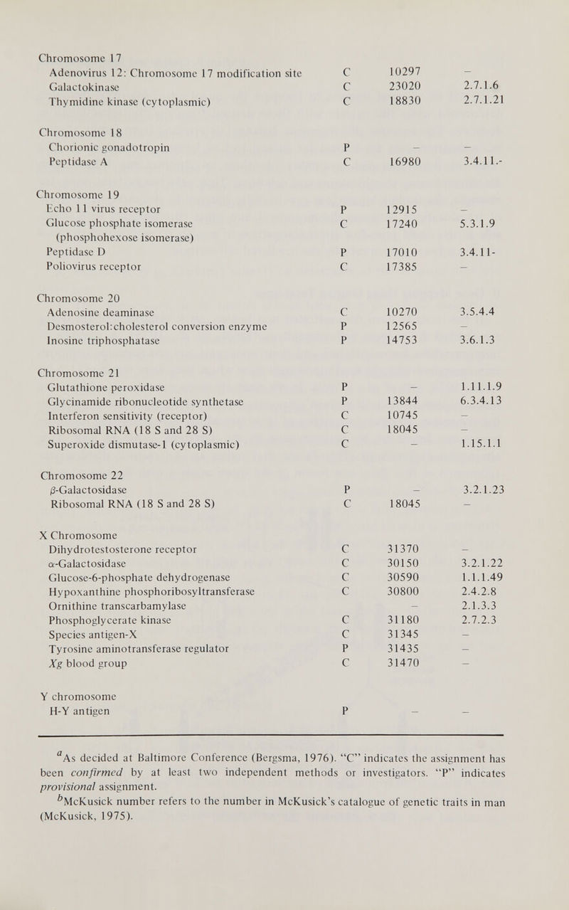 Chromosome 17 Adenovirus 12: Chromosome 17 modification site С 10297 Galactokinase С 23020 Thymidine kinase (cytoplasmic) С 18830 2.7.1.6 2.7.1.21 Chromosome 18 Chorionic gonadotropin Peptidase A P С 16980 3.4.11.- Chromosome 19 Echo 11 virus receptor Glucose phosphate isomerase (phosphohexose isomerase) Peptidase D Poliovirus receptor P С P С 12915 17240 17010 17385 5.3.1.9 3.4.11- Chromosome 20 Adenosine deaminase Desmosterolicholesterol conversion enzyme Inosine triphosphatase С P P 10270 12565 14753 3.5.4.4 3.6.1.3 Chromosome 21 Glutathione peroxidase Glycinamide ribonucleotide synthetase Interferon sensitivity (receptor) Ribosomal RNA (18 S and 28 S) Superoxide dismutase-1 (cytoplasmic) P P С С С 13844 10745 18045 1.11.1.9 6.3.4.13 1.15.1.1 Chromosome 22 /З-Galactosidase Ribosomal RNA (18 S and 28 S) P С 18045 3.2.1.23 X Chromosome Dihydrotestosterone receptor a-Galactosidase Glucose-6-phosphate dehydrogenase Hypoxanthine phosphoribosyltransferase Ornithine transcarbamylase Phosphoglycerate kinase Species antigen-X Tyrosine aminotransferase regulator Xg blood group С С С с с с р с 31370 30150 30590 30800 31180 31345 31435 31470 3.2.1.22 1.1.1.49 2.4.2.8 2.1.3.3 2.7.2.3 Y chromosome H-Y antigen '^As decided at Baltimore Conference (Bergsma, 1976). C indicates the assignment has been confirmed by at least two independent methods or investigators. P indicates provisional assignment. ^McKusick number refers to the number in McKusick's catalogue of genetic traits in man (McKusick, 1975).