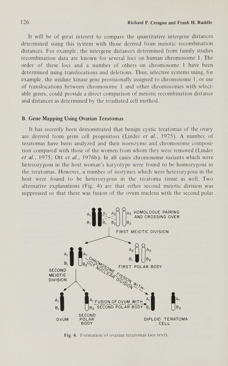 126 Richard P. Creagan and Frank H. Ruddle It will be of great interest to compare the quantitative intergene distances determined using this system with those derived from meiotic recombination distances. For example, the intergene distances determined from family studies recombination data are known for several loci on human chromosome 1. The order of these loci and a number of others on chromosome 1 have been determined using translocations and deletions. Thus, selective systems using, for example, the uridine kinase gene provisionally assigned to chromosome 1, or use of translocations between chromosome 1 and other chromosomes with select¬ able genes, could provide a direct comparison of meiotic recombination distance and distances as determined by the irradiated cell method. B. Gene Mapping Using Ovarian Teratomas It has recently been demonstrated that benign cystic teratomas of the ovary are derived from germ cell progenitors (Under et al, 1975). A number of teratomas have been analyzed and their isoenzyme and chromosome composi¬ tion compared with those of the women from whom they were removed (Under et al, 1975; Ott et al, 1976b). In all cases chromosome variants which were heterozygous in the host woman's karyotype were found to be homozygous in the teratomas. However, a number of isozymes which were heterozygous in the host were found to be heterozygous in the teratoma tissue as well. Two alternative explanations (Fig. 4) are that either second meiotic division was suppressed or that there was fusion of the ovum nucleus with the second polar A B| :l j: SECOND OVUM POLAR BODY DIPLOID TERATOMA CELL Fig. 4. Formation of ovarian teratomas (see text).