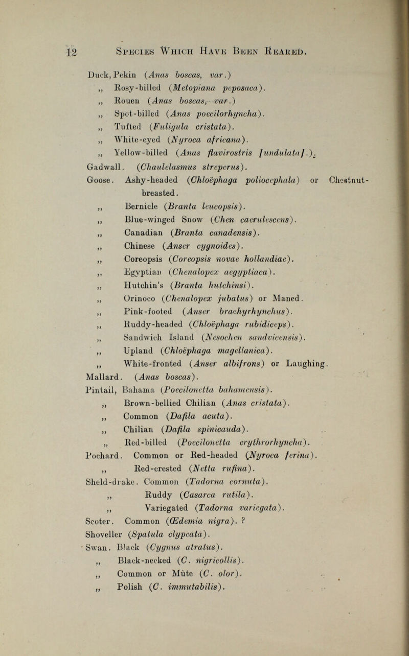 12 Species Which Have Been HeareL>. Duck, Pekin (Anas hoscas, var. ) ,, Bosy-billed ( Metopiana peposaca). ,, Rouen ( Anas hoscas, var.) ,, Spot-billed. (Anas poecilorhyncha). ,, Tufted (Fuliyula cristata). ,, White-eyed (N y roca africana). ,, Yellow-billed (Anas flavirostris [undulata].). Gadwall. (Chaulelasmus slreperus). Goose. Ashy-headed (Chloëphaga poliocephala) or Chestnut breasted. ,, Bermele (Branta Icucopsis). ,, Blue-winged Snow (Chen caerulcsccns). „ Canadian (Branta canadensis). „ Chinese (Anscr cygnoides). ,, Coreopsis (Coreopsis novae hollandiae). ,, Egyptian (Chenalopex acgyptiaca). ,, Hutehin's (Branta hutchinsi). „ Orinoco (Chenalopex jubatus) or Maned. ,, Pink-footed (Ans er hrathyrhynchus). ,, lluddy-headed (Chloëphaga ruhidiceps). „ Sandwich Island (Nesocheu sandvicensis). ,, Upland (Chloëphaga magellanica). „ White-fronted (Anser albifrons) or Laughing. , / Mallard. (Anas hoscas). Pintail, Bahama ( Poecilouella hahamensis). ,, Brown-bellied Chilian (Anas cristata). „ Common (Dafila acuta). ,, Chilian (Dafila spinicauda). „ lled-billed (Poccilonelta erythrorhyncha). Pochard. Common or Red-headed ( Nyroca ferina). ,, Ked-crested (Netta ru fina). Sheld-diuke. Common (Tadorna cornuta). ,, Buddy (Casarca rutila). ,, Variegated (Tadorna variegata). Scoter. Common (Œdemia nigra). ? Shoveller (Spatula clypcata). •Swan. Black (Cygrtus atratus). „ Black-necked (C . nigricollis). ,, Common or Mùte (C. olor). „ Polish (C. immntabilis).