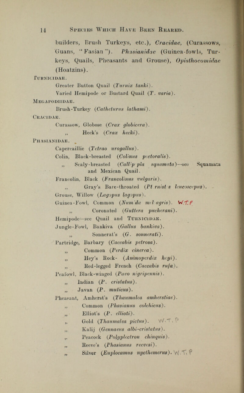 builders, Brush Turkeys, etc.), Craciclae, (Ourassows, Guans, Fasian). Phasianidae (Guinea-fowls, Tur keys, Quails, Pheasants and Grouse), O pis thocom idae (Hoatzins). tub nici d ae. Greater Button Quail (Turnix tanki). Varied Hemipode or Bustard Quail (T. varia). me gai ' ODHDAE . Brush-Turkey ( Calheturus lathami). c lt ac l dae . Curassow, Globose ( Crax globice.ra). ,, Heck's ( Crax hecki). Phasianidae . Capercaillie ( Tetrao urogallus). Colin, Black-breasted ( Colinus pcctoralis). ,, Scaly-breasted ( CalVp pia squamata )—sew Squamata and Mexican Quail. Francolín, Black ( Francolinus vulgaris). ,, Gray's Bare-throated ( Ft mist s Icucoscepus). Grouse, Willow {Lagopus lac/opus). Guinea-Fowl, Common ( Num'da mdagris). W.f.P ,, Coronated ( Guttcra pucherani). Hemipode—see Quail and TuitNlCiDAE. Jungle-Fowl, Bankiva ( Gallus bankiva). ,, Sonnerat 's (G. sonncrati). Partridge, Barbary ( Caccabis petrosa). ,, Common ( Perdix cinerea). ,, Hey's Eock- ( Ammoperdix hcyi). ,, Eed-legged French ( Caccabis rufa). Peafowl, Black-winged ( Pavo nigripennis). ,, Indian (P. cristatus). ,, Javan (P. muticus). Pheasant, Amherst's ( Thaumalca amherstiae). ,, Common ( Phasianus coìchicus). ,, Elliot's (P. cllioti). „ Gold ( Thaumalca pictus). vV ,, Kalij ( Gennaeus albi-cristatus). Peacock ( Polyplectron chinquis). ,, Reeve's ( Phasianus reevesi). „ Silver ( Euplocamus nycthemerus). V\(,Tv ?