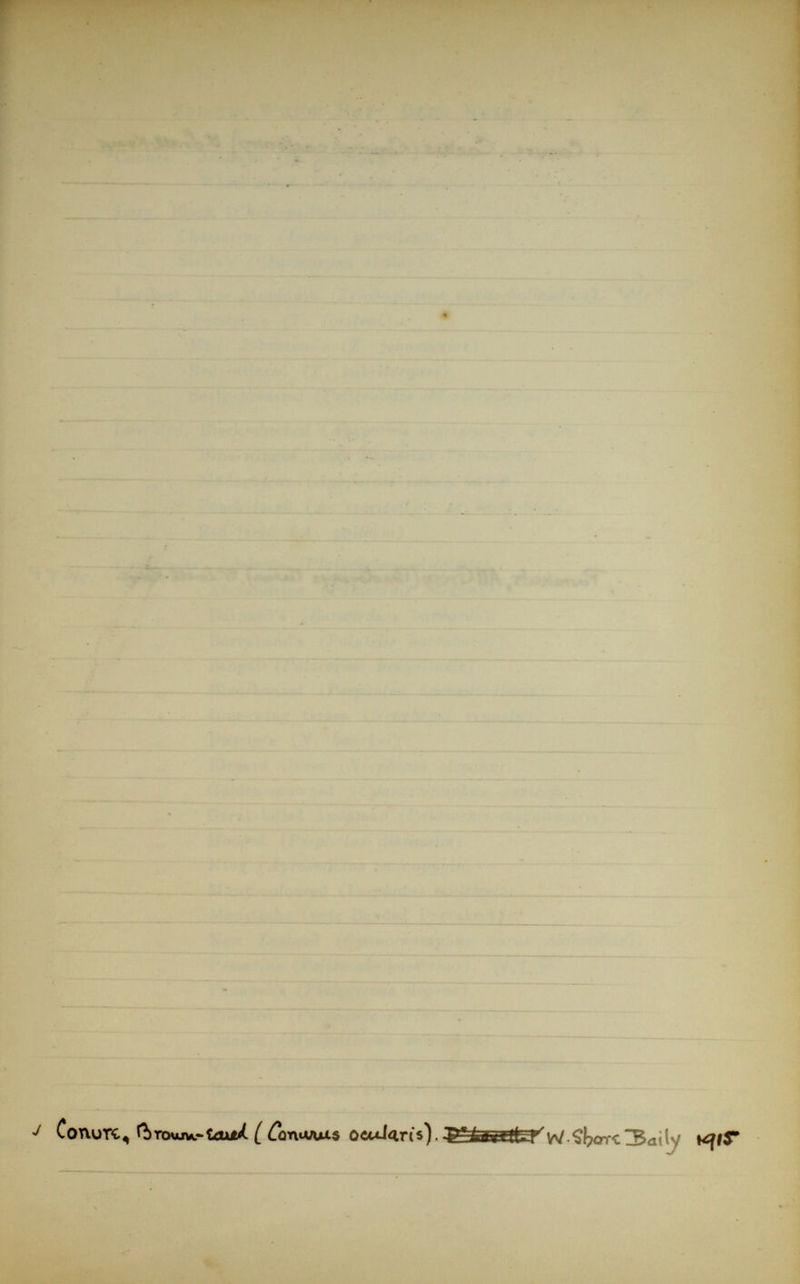 J ConuTC , (h rouJVC taxiÀ [ ¿omvuts oculari s). w Shore 3ai ly Kfir