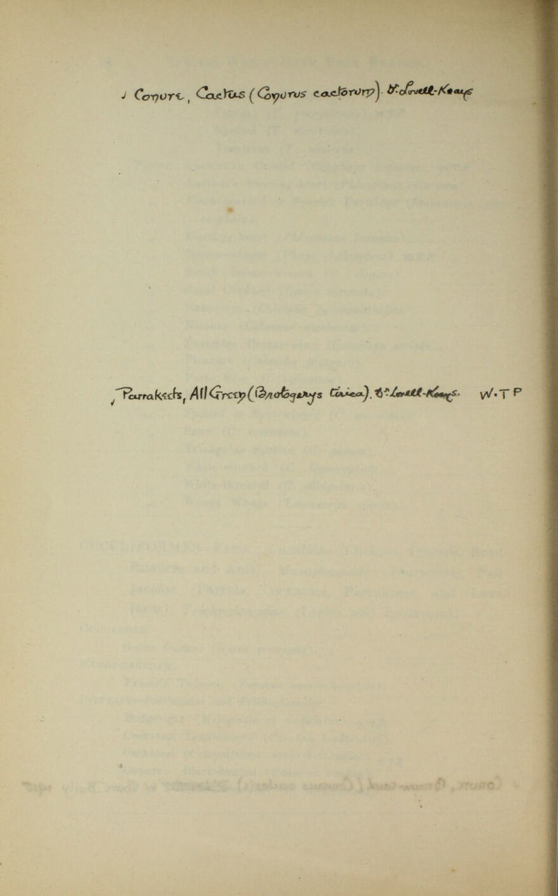 J Covert, CojiYus (<2> v orxjs c<xc.tòrorp) ■ ^^Tctrtakichs f A(K<rcti?(ie>/iofcfäAys W w i ^ L ê