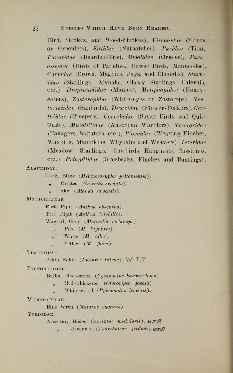 22 Species Which Have Been Reared. Bird, Shrikes, and Wood-Shrikes), Vireonidae (Víreos or Greenlets), Sittidae (Nuthatches), Paridae (Tits), Panuridae (Bearded-Tits), Oriolidac (Orioles), Para- (iiseidae (Birds of Paradise, Bower Birds, Manucodes),. Córvida e (Crows, Magpies, Jays, and Choughs), Sfurn- idae (Starlings, Mynahs, Glossy Starlings, Calornis, etc.), Drepranididac (Alamos), Meliphagidae (Honey- eaters), Zosteropidae (White-eyes or Zosterops), JS T ec- tariniidae (Sunbirds), DicacAdae (Flower-Peckers), Ger- thiidae (Creepers), Coerebidac (Sugar Birds, and Quit- Quits), Mniotillidae (American Warblers), Tanagridae (Tanagers, Saltators, etc.), Ploceidac (Weaving Finches, Waxbills, Mannikins, Whydahs and Weavers), Icteridae (Meadow Starlings, Cowbirds, Hangnests, Cassiques, etc.), Fringillidae (Grosbeaks, Finches and Buntings). Alaudidae. Lark, Black (Melanocorypha yeltoniensis). ,, Crested (Galerita distata). ,, Sky ( Alauda arvevsis). Motacillidae Bock Pipit ( Anthus obsevrvs). Tree. Pipit ( Anthus trivialis). Wagtail, Grey ( Motacilla melanope). ,, Pied (M. lugubris). AY h i te (M. alba). ,, Yellow (M. fia va). Tim ei.] i dae Pékin Pobin (Lio/hrix lúteas). W>T,? pvcnonotidae. Bulbul, Hed-venled ( Pycnonotus haemorrhous). ,, Ked -whiskered ( Otoeotnpsa jocosa). ,, White-eared ( Pycnonotus leucotis). Muscicapidae. Blue Wren (Maluras cyaneus). Tundida e. Accentor, Hedge (Accentor modularis). W.T-ft Jcrdon's ( Tharrhaleus jerdoni). ifrr./?