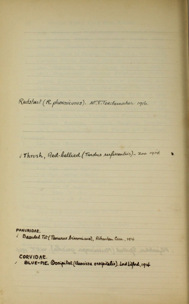 f^fixhfaLïst(ft, joUoQntcurtfs)' /^fio. \ J Tkroik, QwL-Ue*.''* nJ pA^t/RfOAe. v &£ja\dûA. Tdr( Tûmuj J uxs J^tawvvLCue) t l?*ck(Mclst^ CaAKr t CORVIOAE. ✓ BLU e- Pie« ©codiali (lUoeisJA 0«^ví)ít«). JW ¿<ü^Vut l