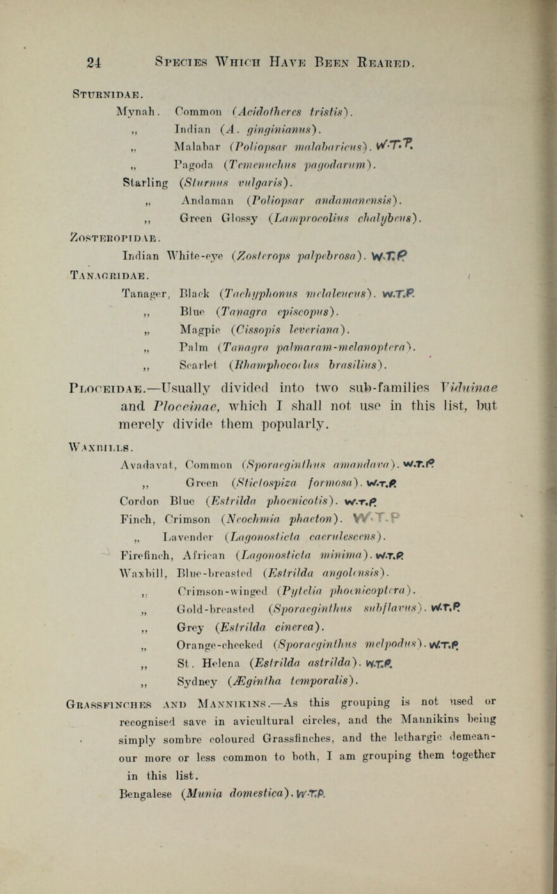 Sttjrnidae. Mynah. Common ( Aciclo flier cs tristis). ,, Indian (A. ginginianus). „ Malabar (Poliopsar malabaricns). ,, Pagoda ( Tememtchus pagodarum). Starling (Sturmis vulgaris). „ Andaman ( Poliopsar andamanensis). ,, Groen Glossy (Lamprocolius chal/jbens). ZoSTEIíOrTD ve. Indian Whi te-eye (Zoster ops palpcbrosa). WT P TANAOIUDAE. ; Tanager, Black (Tachyphomis melalevcns). w. T .P. ,, Bino ( Tanagra episcopvs). „ Magpie (C issopi s leveriana). „ Pnlm ( Tanagra palmaram-melanoptera). ,, Scarlot ( h'hamphocodits brasilius). Ploceidae .—Usually divided into two sub-families Victuinae and Ploceinae, which I shall not, use in this list, but merely divide them popularly. Waxp.ills. Avadavat, Common (Sporaeginthns amandava). w.r.f? ,, Groen ( Sticlospiza form osa). w.t, P. Cordon Blue ( Estrilda plioenicotis) . v/.r.p Pinch, Crimson ( Neochmia phaeton). V „ Lavender ( Lagonosticta cacrulesccns). Firefinch, African ( Lagonosticta minima). w.r.R Waxbill, Blue-breasted ( Estrilda angolcnsis). ,, Crimson-winged ( Pytelia photnicoptcra). „ Gold-breasted ( Sporaeginthns subflavns). W-T,P. ,, Grey ( Estrilda cinerea). „ Orange-cheeked (Sporaeginthns melporhis). w.T.Pl „ St. Helena ( Estrilda astrilda). KT& „ Sydney (Mgintha temporalis). Grarsfinohes and Mannikins .—As this grouping is not used or recognised save in avicultural circles, and the Mannikins being simply sombre ooloured Grassfinches, and the lethargic demean our more or less common to both, I am grouping them together in this list. Bengalese ( Mnnia domestica). W-TTp.
