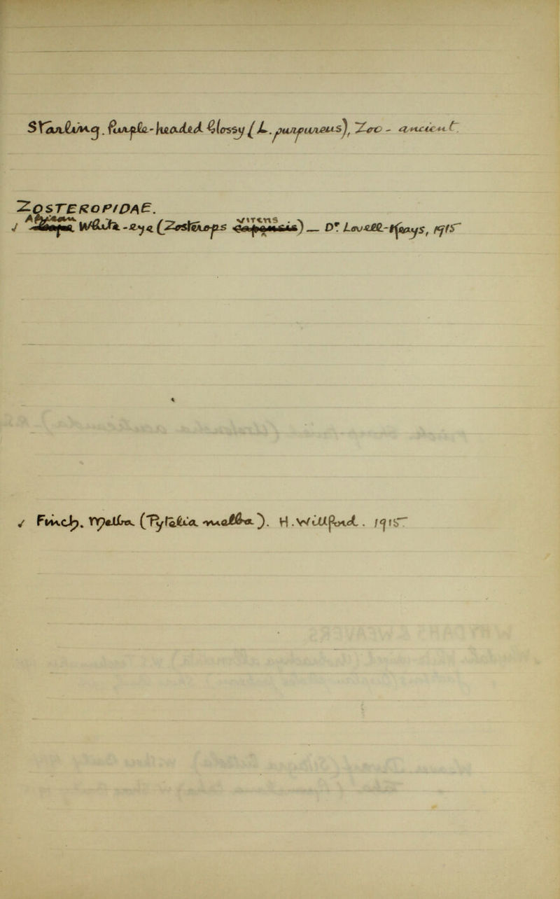 $XojvQA/^C\ . K iiKiUd. Qltrssy ¿L pvuipwißtLs), 'Zsrc - mUt+t ' 'Z-osteropíp^E. J A f¡í*f*i w&xfi. -iL*)*I (JZesfàjttfLS .claj^üxüig^ — DT LovXJÜL-tfexyS, ff ff ✓ Fti\cJp. VÇéiiro^ {yytojùicL 'vu.atótt H . WcUj^n^ . f<jliT~