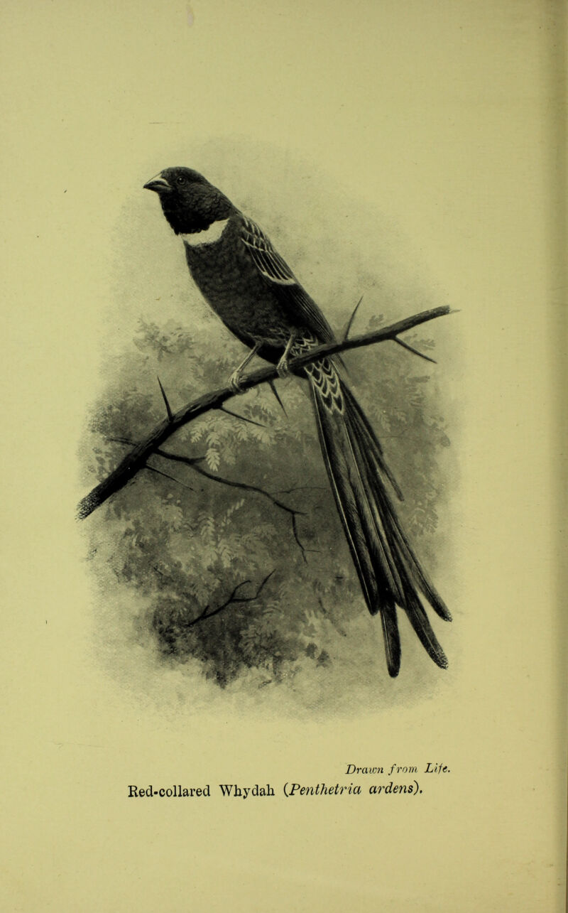 etf Mr b il,a h (/, /) en ^ ft a m. ensX