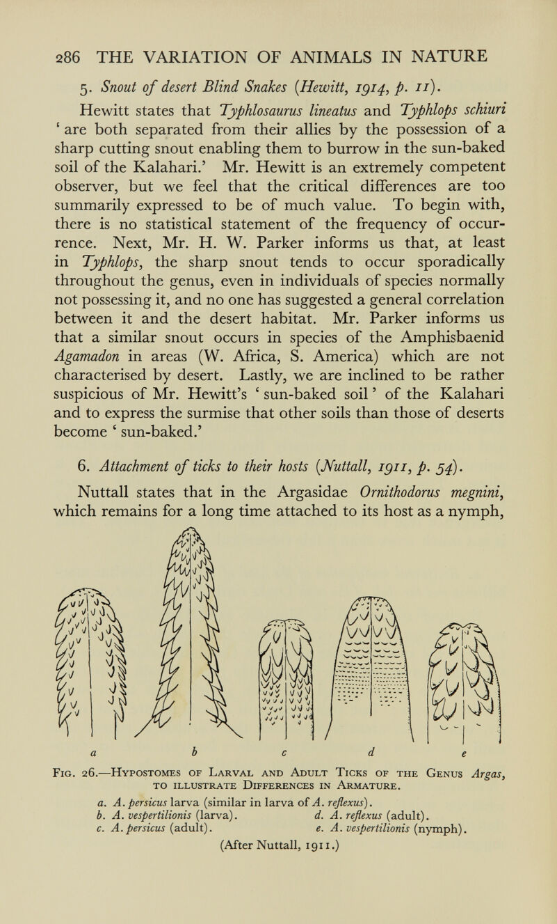 286 THE VARIATION OF ANIMALS IN NATURE 5. Snout of desert Blind Snakes {Hewitt, igi4, p. 11) • Hewitt states that Typhlosaurus lineatus and Typhlops schiuri ' are both separated from their allies by the possession of a sharp cutting snout enabling them to burrow in the sun-baked soil of the Kalahari.' Mr. Hewitt is an extremely competent observer, but we feel that the critical differences are too summarily expressed to be of much value. To begin with, there is no statistical statement of the frequency of occur¬ rence. Next, Mr. H. W. Parker informs us that, at least in Typhlops, the sharp snout tends to occur sporadically throughout the genus, even in individuals of species normally not possessing it, and no one has suggested a general correlation between it and the desert habitat. Mr. Parker informs us that a similar snout occurs in species of the Amphisbaenid Agamadon in areas (W. Africa, S. America) which are not characterised by desert. Lastly, we are inclined to be rather suspicious of Mr. Hewitt's ' sun-baked soil ' of the Kalahari and to express the surmise that other soils than those of deserts become ' sun-baked.' 6. Attachment of ticks to their hosts [Nuttall, igii, p. 5^). Nuttall states that in the Argasidae Ornithodorus megnini, Fig. 26.—Hypostomes of Larval and Adult Ticks of the Genus Ar gas, to illustrate Differences in Armature. a. A. persicus larva (similar in larva of A. reflexus). b. A. vespertilionis {\гх\а). d. A. reflexus {advXt). c. A. persicus (adult). e. A. vespertilionis (nymph). (After Nuttall, 1911.)