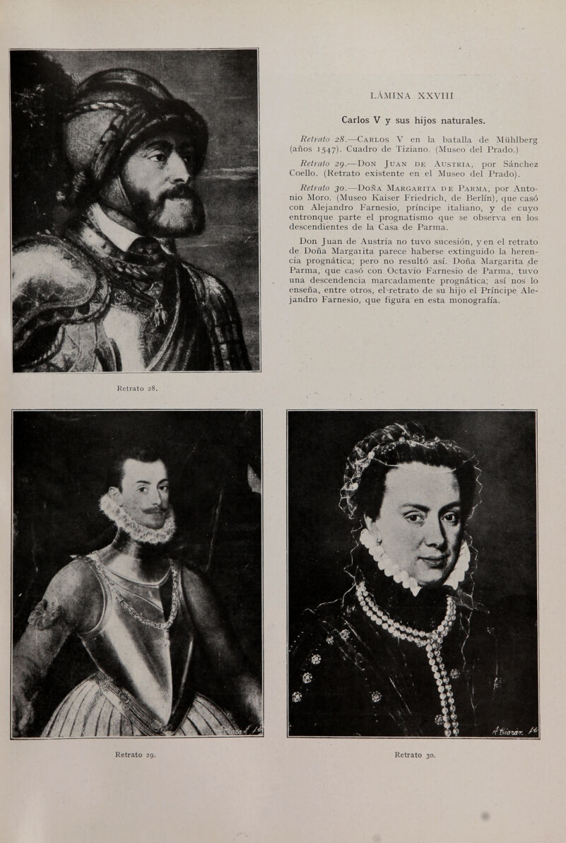 lamina xxviii Carlos V y sus hijos naturales. Retrato 28.—Carlos V en la batalla de Mühlberg (años 1547). Cuadro de Tiziano. (Museo del Prado.) Retrato 29.—Don Juan de Austria, por Sánchez Coello. (Retrato existente en el Museo del Prado). Retrato 30.—Doña Margarita de Parma, por Anto¬ nio Moro. (Museo Kaiser Friedrich, de Berlín), que casó con Alejandro Farnesio, príncipe italiano, y de cuyo entronque parte el prognatismo que se observa en los descendientes de la Casa de Parma. Don Juan de Austria no tuvo sucesión, yen el retrato de Doña Margal ita parece haberse extinguido la heren¬ cia prognàtica; pero no resultó así. Doña Margarita de Parma, que casó con Octavio Farnesio de Parma, tuvo una descendencia marcadamente prognàtica; así nos lo enseña, entre otros, el-retrato de su hijo el Príncipe Ale¬ jandro Farnesio, que figura en esta monografía. Retrato 30.