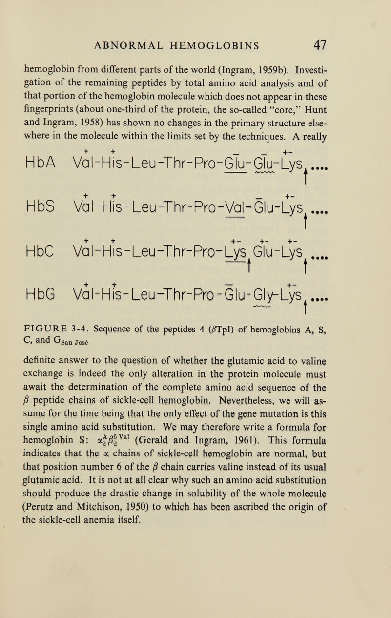 hemoglobin from different parts of the world (Ingram, 1959b). Investi gation of the remaining peptides by total amino acid analysis and of that portion of the hemoglobin molecule which does not appear in these fingerprints (about one-third of the protein, the so-called core, Hunt and Ingram, 1958) has shown no changes in the primary structure else where in the molecule within the limits set by the techniques. A really HbA Val-His-Leu-Thr-Pro-Glu-Glu-Lys .... t + - HbS Va I-His- Leu-Thr-Pro-Val-Glu-Lys .... t +- +- +- HbC Val-His-Leu-Thr-Pro-LySjGlu-Lys^ 99 + - HbG Val-His-Leu-Thr-Pro-Glu-Gly-Lys .... — t FIGURE 3-4. Sequence of the peptides 4 0?TpI) of hemoglobins A, S, C, and G San José definite answer to the question of whether the glutamic acid to valine exchange is indeed the only alteration in the protein molecule must await the determination of the complete amino acid sequence of the ß peptide chains of sickle-cell hemoglobin, Nevertheless, we will as sume for the time being that the only effect of the gene mutation is this single amino acid substitution. We may therefore write a formula for hemoglobin S; Val (Gerald and Ingram, 1961). This formula indicates that the a chains of sickle-c§ll hemoglobin are normal, but that position number 6 of the ß chain carries valine instead of its usual glutamic acid. It is not at all clear why such an amino acid substitution should produce the drastic change in solubility of the whole molecule (Perutz and Mitchison, 1950) to which has been ascribed the origin of the sickle-cell anemia itself.