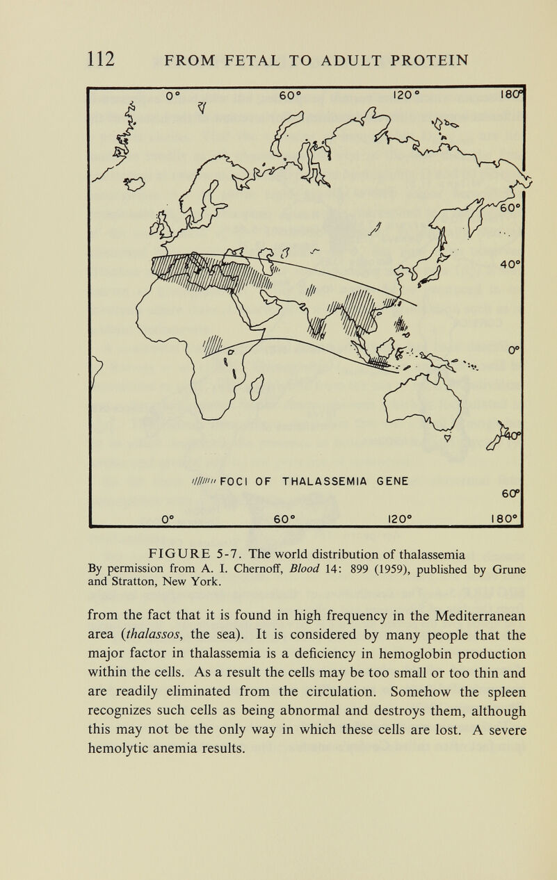 FIGURE 5-7. The world distribution of thalassemia By permission from A. I. Chernoff, Blood 14: 899 (1959), published by Grune and Stratton, New York. from the fact that it is found in high frequency in the Mediterranean area ( thalassos, the sea). It is considered by many people that the major factor in thalassemia is a deficiency in hemoglobin production within the cells. As a result the cells may be too small or too thin and are readily eliminated from the circulation. Somehow the spleen recognizes such cells as being abnormal and destroys them, although this may not be the only way in which these cells are lost. A severe hemolytic anemia results.