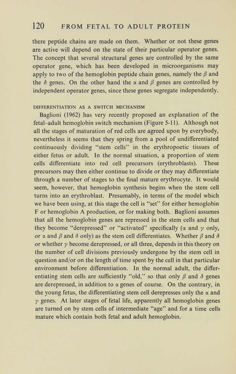 there peptide chains are made on them. Whether or not these genes are active will depend on the state of their particular operator genes. The concept that several structural genes are controlled by the same operator gene, which has been developed in microorganisms may apply to two of the hemoglobin peptide chain genes, namely the ß and the ô genes. On the other hand the a and ß genes are controlled by independent operator genes, since these genes segregate independently. differentiation as a switch mechanism Baglioni (1962) has very recently proposed an explanation of the fetal-adult hemoglobin switch mechanism (Figure 5-11). Although not all the stages of maturation of red cells are agreed upon by everybody, nevertheless it seems that they spring from a pool of undifferentiated continuously dividing stem cells in the erythropoetic tissues of either fetus or adult. In the normal situation, a proportion of stem cells differentiate into red cell precursors (erythroblasts). These precursors may then either continue to divide or they may differentiate through a number of stages to the final mature erythrocyte. It would seem, however, that hemoglobin synthesis begins when the stem cell turns into an erythroblast. Presumably, in terms of the model which we have been using, at this stage the cell is set for either hemoglobin F or hemoglobin A production, or for making both. Baglioni assumes that all the hemoglobin genes are repressed in the stem cells and that they become derepressed or activated specifically (a and y only, or a and ß and ô only) as the stem cell differentiates. Whether ß and <5 or whether y become derepressed, or all three, depends in this theory on the number of cell divisions previously undergone by the stem cell in question and/or on the length of time spent by the cell in that particular environment before differentiation. In the normal adult, the differ entiating stem cells are sufficiently old, so that only ß and ô genes are derepressed, in addition to a genes of course. On the contrary, in the young fetus, the differentiating stem cell derepresses only the a and y genes. At later stages of fetal life, apparently all hemoglobin genes are turned on by stem cells of intermediate age and for a time cells mature which contain both fetal and adult hemoglobin.