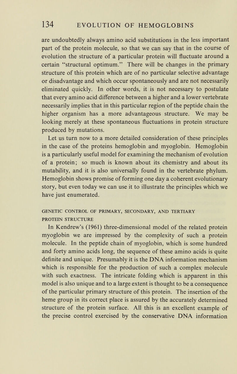 are undoubtedly always amino acid substitutions in the less important part of the protein molecule, so that we can say that in the course of evolution the structure of a particular protein will fluctuate around a certain structural optimum. There will be changes in the primary structure of this protein which are of no particular selective advantage or disadvantage and which occur spontaneously and are not necessarily eliminated quickly. In other words, it is not necessary to postulate that every amino acid difference between a higher and a lower vertebrate necessarily implies that in this particular region of the peptide chain the higher organism has a more advantageous structure. We may be looking merely at these spontaneous fluctuations in protein structure produced by mutations. Let us turn now to a more detailed consideration of these principles in the case of the proteins hemoglobin and myoglobin. Hemoglobin is a particularly useful model for examining the mechanism of evolution of a protein; so much is known about its chemistry and about its mutability, and it is also universally found in the vertebrate phylum. Hemoglobin shows promise of forming one day a coherent evolutionary story, but even today we can use it to illustrate the principles which we have just enumerated. GENETIC CONTROL OF PRIMARY, SECONDARY, AND TERTIARY PROTEIN STRUCTURE In Kendrew's (1961) three-dimensional model of the related protein myoglobin we are impressed by the complexity of such a protein molecule. In the peptide chain of myoglobin, which is some hundred and forty amino acids long, the sequence of these amino acids is quite definite and unique. Presumably it is the DNA information mechanism which is responsible for the production of such a complex molecule with such exactness. The intricate folding which is apparent in this model is also unique and to a large extent is thought to be a consequence of the particular primary structure of this protein. The insertion of the heme group in its correct place is assured by the accurately determined structure of the protein surface. All this is an excellent example of the precise control exercised by the conservative DNA information