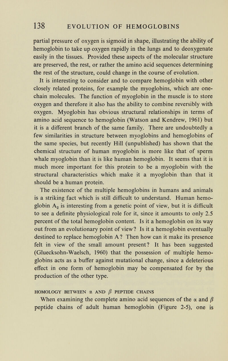 partial pressure of oxygen is sigmoid in shape, illustrating the ability of hemoglobin to take up oxygen rapidly in the lungs and to deoxygenate easily in the tissues. Provided these aspects of the molecular structure are preserved, the rest, or rather the amino acid sequences determining the rest of the structure, could change in the course of evolution. It is interesting to consider and to compare hemoglobin with other closely related proteins, for example the myoglobins, which are one- chain molecules. The function of myoglobin in the muscle is to store oxygen and therefore it also has the ability to combine reversibly with oxygen. Myoglobin has obvious structural relationships in terms of amino acid sequence to hemoglobin (Watson and Kendrew, 1961) but it is a different branch of the same family. There are undoubtedly a few similarities in structure between myoglobins and hemoglobins of the same species, but recently Hill (unpublished) has shown that the chemical structure of human myoglobin is more like that of sperm whale myoglobin than it is like human hemoglobin. It seems that it is much more important for this protein to be a myoglobin with the structural characteristics which make it a myoglobin than that it should be a human protein. The existence of the multiple hemoglobins in humans and animals is a striking fact which is still difficult to understand. Human hemo globin A 2 is interesting from a genetic point of view, but it is difficult to see a definite physiological role for it, since it amounts to only 2.5 percent of the total hemoglobin content. Is it a hemoglobin on its way out from an evolutionary point of view? Is it a hemoglobin eventually destined to replace hemoglobin A ? Then how can it make its presence felt in view of the small amount present? It has been suggested (Gluecksohn-Waelsch, 1960) that the possession of multiple hemo globins acts as a buffer against mutational change, since a deleterious effect in one form of hemoglobin may be compensated for by the production of the other type. HOMOLOGY BETWEEN a AND ß PEPTIDE CHAINS When examining the complete amino acid sequences of the a and ß peptide chains of adult human hemoglobin (Figure 2-5), one is