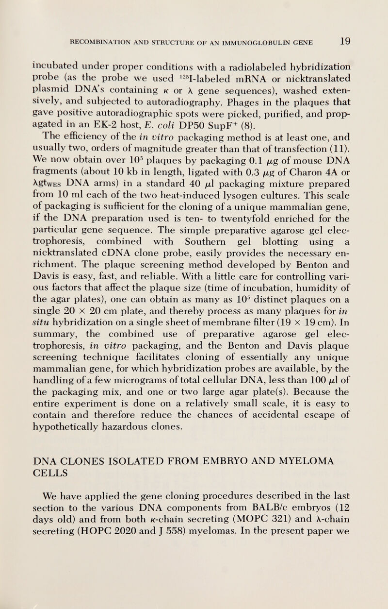 RECOMBINATION AND STRUCTURE OF AN IMMUNOGLOBULIN GENE 19 incubated under proper conditions with a radiolabeled hybridization probe (as the probe we used '-'^I-labeled mRNA or nicktranslated plasmid DNA s containing к or X gene sequences), washed exten¬ sively, and subjected to autoradiography. Phages in the plaques that gave positive autoradiographic spots were picked, purified, and prop¬ agated in an EK-2 host, E. coli DP50 SupF+ (8). The efficiency of the in vitro packaging method is at least one, and usually two, orders of magnitude greater than that of transfection (11). We now obtain over 10'^ plaques by packaging 0.1 fig of mouse DNA fragments (about 10 kb in length, ligated with 0.3 /xg of Charon 4A or ^gtwEs DNA arms) in a standard 40 /Л packaging mixture prepared from 10 ml each of the two heat-induced lysogen cultures. This scale of packaging is sufficient for the cloning of a unique mammalian gene, if the DNA preparation used is ten- to twentyfold enriched for the particular gene sequence. The simple preparative agarose gel elec¬ trophoresis, combined with Southern gel blotting using a nicktranslated cDNA clone probe, easily provides the necessary en¬ richment. The plaque screening method developed by Benton and Davis is easy, fast, and reliable. With a little care for controlling vari¬ ous factors that affect the plaque size (time of incubation, humidity of the agar plates), one can obtain as many as 10'^ distinct plaques on a single 20 X 20 cm plate, and thereby process as many plaques for in situ hybridization on a single sheet of membrane filter (19 x 19 cm). In summary, the combined use of preparative agarose gel elec¬ trophoresis, in vitro packaging, and the Benton and Davis plaque screening technique facilitates cloning of essentially any unique mammalian gene, for which hybridization probes are available, by the handling of a few micrograms of total cellular DNA, less than 100 fx\ of the packaging mix, and one or two large agar plate(s). Because the entire experiment is done on a relatively small scale, it is easy to contain and therefore reduce the chances of accidental escape of hypothetically hazardous clones. DNA CLONES ISOLATED FROM EMBRYO AND MYELOMA CELLS We have applied the gene cloning procedures described in the last section to the various DNA components from BALB/c embryos (12 days old) and from both /c-chain secreting (MOPC 321) and X-chain secreting (HOPC 2020 and J 558) myelomas. In the present paper we