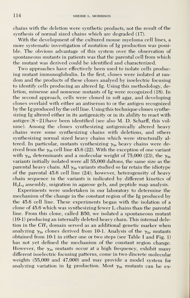 114 SHERIE L. MORRISON chains with the deletion were synthetic products, not the result of the synthesis of normal sized chains which are degraded (17). With the development of the cultured mouse myeloma cell lines, a more systematic investigation of mutation of Ig production was possi¬ ble. The obvious advantage of this system over the observation of spontaneous mutants in patients was that the parental cell from which the mutant was derived could be identified and characterized. Two approaches have efiFectively been used to isolate cells produc¬ ing mutant immunoglobulin. In the first, clones were isolated at ran¬ dom and the products of these clones analyed by isoelectric focusing to identify cells producing an altered Ig. Using this methodology, de¬ letion, missense and nonsense mutants of Ig were recognized (18). In the second approach, cells were cloned in soft agar, and developing clones overlaid with either an antiserum to or the antigen recognized by the Ig produced by the cell line. Using this technique clones synthe¬ sizing Ig altered either in its antigenicity or in its ability to react with antigen (8-21)have been identified (see also M. D. Scharfif, this vol¬ ume). Among the clones synthesizing antigenically altered heavy chains were some synthesizing chains with deletions, and others synthesizing normal sized heavy chains which were structurally al¬ tered. In particular, mutants synthesizing уга heavy chains were de¬ rived from the у^ь cell line 45.6 (22). With the exception of one variant with Уза determinants and a molecular weight of 75,000 (23), the y^a variants initially isolated were all 55,000 daltons, the same size as the parental heavy chain. All 72a variants studied so far retain the idiotype of the parental 45.6 cell line (24); however, heterogeneity of heavy chain sequence in the variants is indicated by different kinetics of H2L2 assembly, migration in agarose gels, and peptide map analysis. Experiments were undertaken in our laboratory to determine the mechanism of the change in the constant region of the Ig produced by the 45.6 cell line. These experiments began with the isolation of a clone of 45.6 which was synthesizing fewer L chains than the parental line. From this clone, called B50, we isolated a spontaneous mutant (10-1) producing an internally deleted heavy chain. This internal dele¬ tion in the CHi domain served as an additional genetic marker when analyzing 72a clones derived from 10-1. Analysis of the у2а mutants obtained from 10-1 in either one or two steps (see Table I and Fig. 1) has not yet defined the mechanism of the constant region change. However, the 72a mutants occur at a high frequency, exhibit many diflFerent isoelectric focusing patterns, come in two discrete molecular weights (55,000 and 47,000) and may provide a model system for analyzing variation in Ig production. Most 72a mutants can be ex-