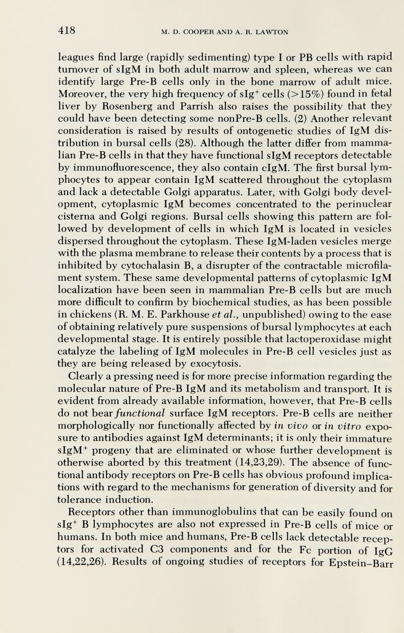 418 M. D. COOPER AND A. R. LAWTON leagues find large (rapidly sedimenting) type I or PB cells with rapid turnover of sIgM in both adult marrow and spleen, whereas we can identify large Pre-B cells only in the bone marrow of adult mice. Moreover, the very high frequency of slg^ cells (>15%) found in fetal liver by Rosenberg and Parrish also raises the possibility that they could have been detecting some nonPre-B cells. (2) Another relevant consideration is raised by results of ontogenetic studies of IgM dis¬ tribution in bursal cells (28). Although the latter differ from mamma¬ lian Pre-B cells in that they have functional sIgM receptors detectable by immunofluorescence, they also contain cIgM. The first bursal lym¬ phocytes to appear contain IgM scattered throughout the cytoplasm and lack a detectable Golgi apparatus. Later, with Golgi body devel¬ opment, cytoplasmic IgM becomes concentrated to the perinuclear cisterna and Golgi regions. Bursal cells showing this pattern are fol¬ lowed by development of cells in which IgM is located in vesicles dispersed throughout the cytoplasm. These IgM-laden vesicles merge with the plasma membrane to release their contents by a process that is inhibited by cytochalasin B, a disrupter of the contractable microfila¬ ment system. These same developmental patterns of cytoplasmic IgM localization have been seen in mammalian Pre-B cells but are much more difficult to confirm by biochemical studies, as has been possible in chickens (R. M. E. Parkhouse et al., unpublished) owing to the ease of obtaining relatively pure suspensions of bursal lymphocytes at each developmental stage. It is entirely possible that lactoperoxidase might catalyze the labeling of IgM molecules in Pre-B cell vesicles just as they are being released by exocytosis. Clearly a pressing need is for more precise information regarding the molecular nature of Pre-B IgM and its metabolism and transport. It is evident from already available information, however, that Pre-B cells do not hear functional surface IgM receptors. Pre-B cells are neither morphologically nor functionally afiected by in vivo or in vitro expo¬ sure to antibodies against IgM determinants; it is only their immature slgM* progeny that are eliminated or whose further development is otherwise aborted by this treatment (14,23,29). The absence of func¬ tional antibody receptors on Pre-B cells has obvious profound implica¬ tions with regard to the mechanisms for generation of diversity and for tolerance induction. Receptors other than immunoglobulins that can be easily found on slg* В lymphocytes are also not expressed in Pre-B cells of mice or humans. In both mice and humans, Pre-B cells lack detectable recep¬ tors for activated C3 components and for the Fc portion of IgG (14,22,26). Results of ongoing studies of receptors for Epstein-Barr