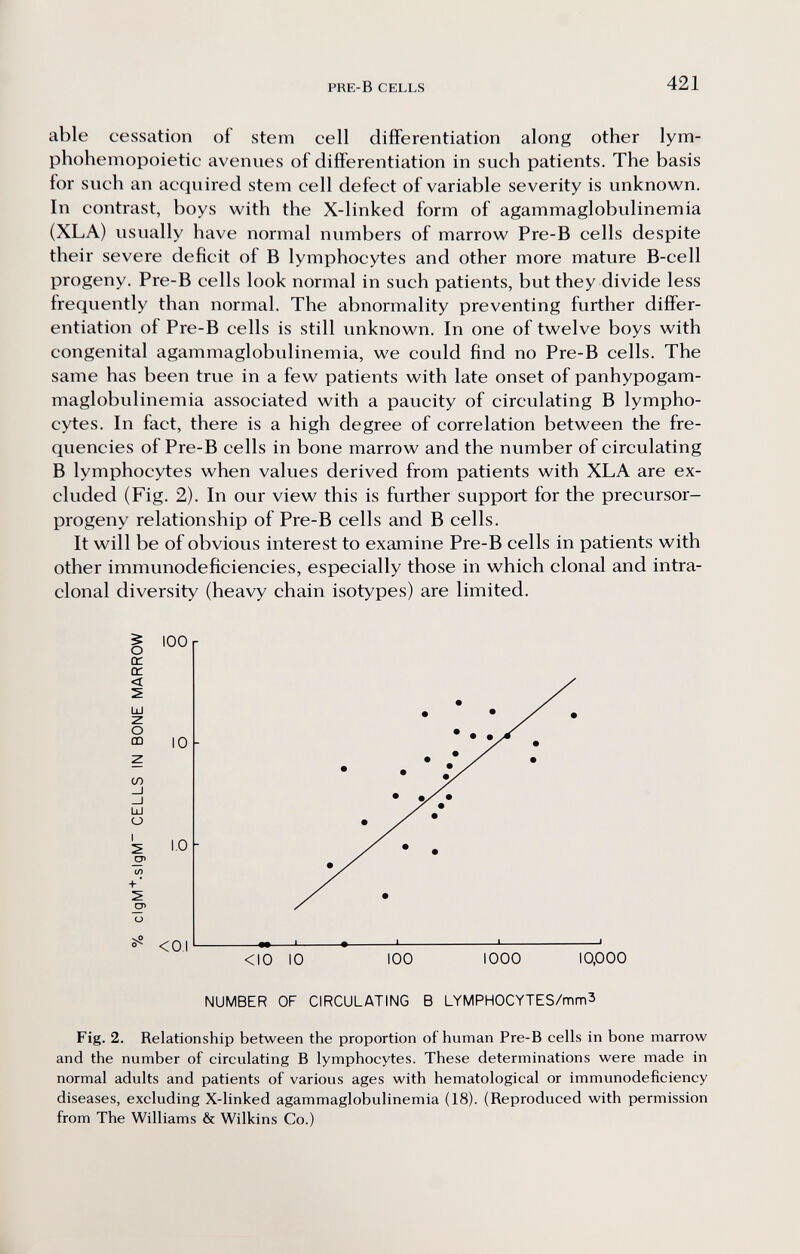 PRE-B CELLS 421 able cessation of stem cell differentiation along other lym- phohemopoietic avenues of differentiation in such patients. The basis for such an acquired stem cell defect of variable severity is unknown. In contrast, boys with the X-linked form of agammaglobulinemia (XLA) usually have normal numbers of marrow Pre-B cells despite their severe deficit of В lymphocytes and other more mature B-cell progeny. Pre-B cells look normal in such patients, but they divide less frequently than normal. The abnormality preventing further differ¬ entiation of Pre-B cells is still unknown. In one of twelve boys with congenital agammaglobulinemia, we could find no Pre-B cells. The same has been true in a few patients with late onset of panhypogam- maglobulinemia associated with a paucity of circulating В lympho¬ cytes. In fact, there is a high degree of correlation between the fre¬ quencies of Pre-B cells in bone marrow and the number of circulating В lymphocytes when values derived from patients with XLA are ex¬ cluded (Fig. 2). In our view this is further support for the precursor- progeny relationship of Pre-B cells and В cells. It will be of obvious interest to examine Pre-B cells in patients with other immunodeficiencies, especially those in which clonal and intra- clonal diversity (heavy chain isotypes) are limited. 1 100 tr tr < 2 ш z о CD 10 z СЛ _i Ш о s 1.0 (/) + ■ о <0.1 <10 10 100 1000 10,000 NUMBER OF CIRCULATING В LYMPH0CYTES/mm3 Fig. 2. Relationship between the proportion of human Pre-B cells in bone marrow and the number of circulating В lymphocytes. These determinations were made in normal adults and patients of various ages with hematological or immunodeficiency diseases, excluding X-linked agammaglobulinemia (18). (Reproduced with permission from The Williams & Wilkins Co.) J • I 1 '
