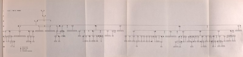 1 FIGURE 3 THE E. FAMILY ж ш ш í i'í Î 4Í tí 5 S 9 Я t tíbóátíú^áóóáó í¡0 3 Ö5 ts ÍS ^ c^„ úúóááóúó óàóùàdìc^^àà Езф qí | i ^ Й ÖJQ bóáiáóó Ж p ig jÏMÎ Ф-^ ш (Г7) is t9 \ Й qi оФ, Î5~5$TÇ1|^^ ÍQ ó о ó ob /к * гт ^ 1 OÍ т Í3 55 W ¿ Й ¿ФФФ й Q 5q^. ¿ t5q c^o [5q ¿Q iq o óc^àó qc) o o normal female ■ affected male Ф died young О information inconclusive 66 ilQÉt rfb^ióóó ÍS Ï5 S 55~Й ^ Ф,фй0бЬ0[^0 0ф^ q4 ^ f9~^~Ï5 ^ o¿à [^ à o ¿ f H 'T q ¿ ¿ Ò 6 ■-í Vt A л л qSlíW à h í№qi № да €Ш Ш й |5^ ^Шз. <5Л «.ФАФ. ЙЙ Й 4 íq^