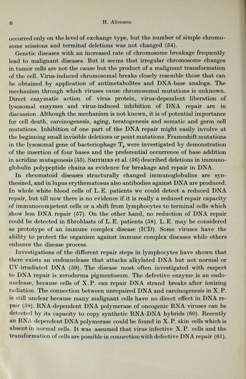 occurred only on the level of exchange type, but the number of simple chromo some scissions and terminal deletions was not changed (54). Genetic diseases with an increased rate of chromosome breakage frequently lead to malignant diseases. But it seems that irregular chromosome changes in tumor cells are not the cause but the product of a malignant transformation of the cell. Virus-induced chromosomal breaks closely resemble those that can be obtained by application of antimetabolites and DNA-base analoga. The mechanism through which viruses cause chromosomal mutations is unknown. Direct enzymatic action of virus protein, virus-dependent liberation of lysosomal enzymes and virus-induced inhibition of DNA repair are in discussion. Although the mechanism is not known, it is of potential importance for cell death, carcinogenesis, aging, teratogenesis and somatic and germ cell mutations. Inhibition of one part of the DNA repair might easily involve at the beginning small invisible deletions or point mutations. Frameshift mutations in the lysosomal gene of bacteriophage T 4 were investigated by demonstration of the insertion of four bases and the preferential occurrence of base addition in acridine mutagenesis (55). Smithies et al. (56) described deletions in immuno globulin polypeptide chains as evidence for breakage and repair in DNA. In rheumatoid diseases structurally changed immunoglobulins are syn thesized, and in lupus erythematosus also antibodies against DNA are produced. In whole white blood cells of L.E. patients we could detect a reduced DNA repair, but till now there is no evidence if it is really a reduced repair capacity of immunocompetent cells or a shift from lymphocytes to terminal cells which show less DNA repair (57). On the other hand, no reduction of DNA repair could be detected in fibroblasts of L.E. patients (58). L.E. may be considered as prototype of an immune complex disease (ICD). Some viruses have the ability to protect the organism against immune complex diseases while others enhance the disease process. Investigations of the different repair steps in lymphocytes have shown that there exists an endonuclease that attacks alkylated DNA but not normal or UV-irradiated DNA (59). The disease most often investigated with respect to DNA repair is xeroderma pigmentosum. The defective enzyme is an endo nuclease, because cells of X.P. can repair DNA strand breaks after ionizing radiation. The connection between unrepaired DNA and carcinogenesis in X.P. is still unclear because many malignant cells have no direct effect in DNA re pair (58). RNA-dependent DNA polymerase of oncogenic RNA viruses can be detected by its capacity to copy synthetic RNA-DNA hybrids (60). Recently an RNA-dependent DNA polymerase could be found in X.P. skin cells which is absent in normal cells. It was assumed that virus infective X.P. cells and the transformation of cells are possible in connection with defective DNA repair (61).