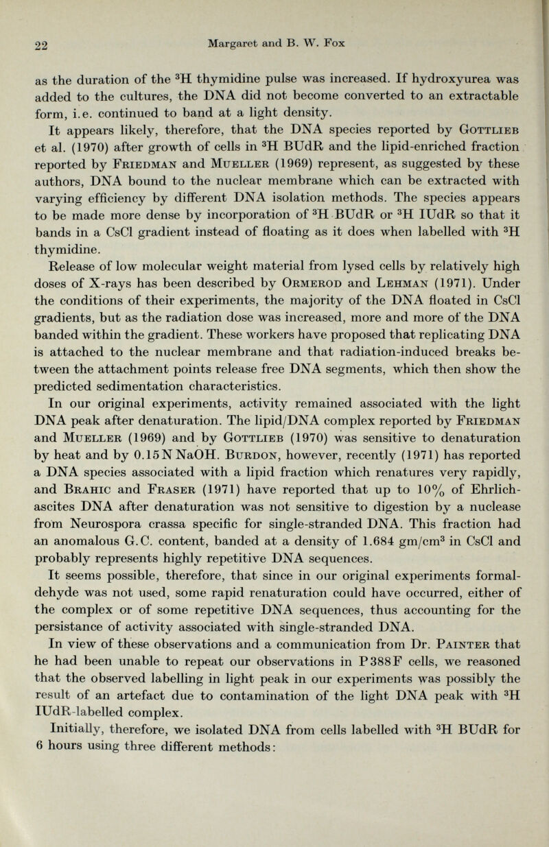 as the duration of the 3 H thymidine pulse was increased. If hydroxyurea was added to the cultures, the DNA did not become converted to an extractable form, i.e. continued to band at a light density. It appears likely, therefore, that the DNA species reported by Gottlieb et al. (1970) after growth of cells in 3 H BUdR and the lipid-enriched fraction reported by Friedman and Mueller (1969) represent, as suggested by these authors, DNA bound to the nuclear membrane which can be extracted with varying efficiency by different DNA isolation methods. The species appears to be made more dense by incorporation of 3 H BUdR or 3 H IUdR so that it bands in a CsCl gradient instead of floating as it does when labelled with 3 H thymidine. Release of low molecular weight material from lysed cells by relatively high doses of X-rays has been described by Ormerod and Lehman (1971). Under the conditions of their experiments, the majority of the DNA floated in CsCl gradients, but as the radiation dose was increased, more and more of the DNA banded within the gradient. These workers have proposed that replicating DNA is attached to the nuclear membrane and that radiation-induced breaks be tween the attachment points release free DNA segments, which then show the predicted sedimentation characteristics. In our original experiments, activity remained associated with the light DNA peak after denaturation. The lipid/DNA complex reported by Friedman and Mueller (1969) and by Gottlieb (1970) was sensitive to denaturation by heat and by 0.15NNaOH. Burdon, however, recently (1971) has reported a DNA species associated with a lipid fraction which renatures very rapidly, and Brahic and Fraser (1971) have reported that up to 10% of Ehrlich - ascites DNA after denaturation was not sensitive to digestion by a nuclease from Neurospora crassa specific for single-stranded DNA. This fraction had an anomalous G.C. content, banded at a density of 1.684 gm/cm 3 in CsCl and probably represents highly repetitive DNA sequences. It seems possible, therefore, that since in our original experiments formal dehyde was not used, some rapid renaturation could have occurred, either of the complex or of some repetitive DNA sequences, thus accounting for the persistance of activity associated with single-stranded DNA. In view of these observations and a communication from Dr. Painter that he had been unable to repeat our observations in P388F cells, we reasoned that the observed labelling in light peak in our experiments was possibly the result of an artefact due to contamination of the light DNA peak with 3 H IUdR-labelled complex. Initially, therefore, we isolated DNA from cells labelled with 3 H BUdR for 6 hours using three different methods: