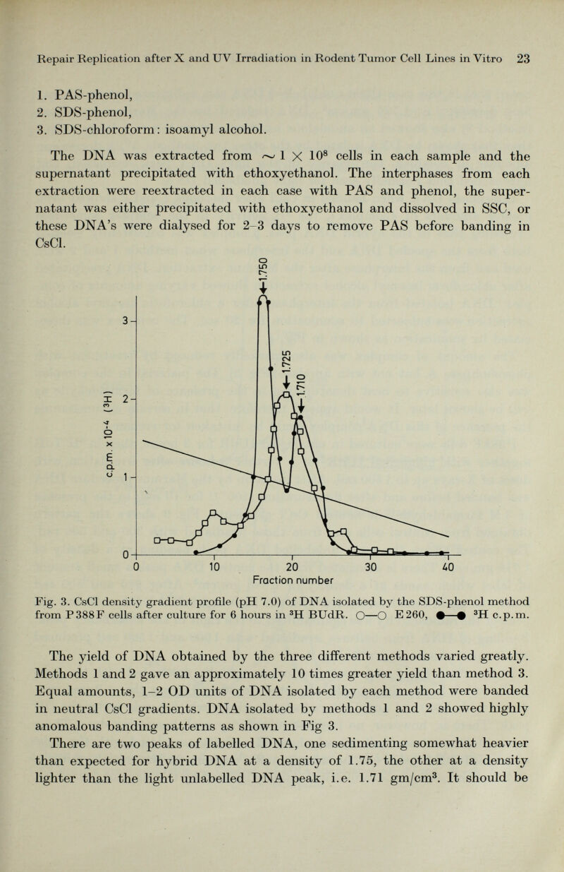 1. PAS-phenol, 2. SDS-phenol, 3. SDS-chloroform: isoamyl alcohol. The DNA was extracted from ~ 1 X 10 8 cells in each sample and the supernatant precipitated with ethoxy ethanol. The interphases from each extraction were reextracted in each case with PAS and phenol, the super natant was either precipitated with ethoxyethanol and dissolved in SSC, or these DNA’s were dialysed for 2-3 days to remove PAS before banding in CsCl. o IT) c- Fraction number Fig. 3. CsCl density gradient profile (pH 7.0) of DNA isolated by the SDS-phenol method from P388F cells after culture for 6 hours in 3 H BUdR. O—O E260, •—+ 3 H c.p.m. The yield of DNA obtained by the three different methods varied greatly. Methods 1 and 2 gave an approximately 10 times greater yield than method 3. Equal amounts, 1-2 OD units of DNA isolated by each method were banded in neutral CsCl gradients. DNA isolated by methods 1 and 2 showed highly anomalous banding patterns as shown in Fig 3. There are two peaks of labelled DNA, one sedimenting somewhat heavier than expected for hybrid DNA at a density of 1.75, the other at a density lighter than the light unlabelled DNA peak, i.e. 1.71 gm/cm 3 . It should be