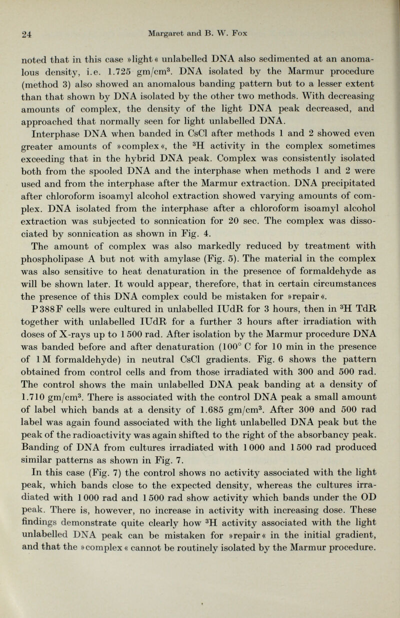 noted that in this case »light« unlabelled DNA also sedimented at an anoma lous density, i.e. 1.725 gm/cm 3 . DNA isolated by the Marmur procedure (method 3) also showed an anomalous banding pattern but to a lesser extent than that shown by DNA isolated by the other two methods. With decreasing amounts of complex, the density of the light DNA peak decreased, and approached that normally seen for light unlabelled DNA. Interphase DNA when banded in CsCl after methods 1 and 2 showed even greater amounts of »complex«, the 3 H activity in the complex sometimes exceeding that in the hybrid DNA peak. Complex was consistently isolated both from the spooled DNA and the interphase when methods 1 and 2 were used and from the interphase after the Marmur extraction. DNA precipitated after chloroform isoamyl alcohol extraction showed varying amounts of com plex. DNA isolated from the interphase after a chloroform isoamyl alcohol extraction was subjected to sonnication for 20 sec. The complex was disso ciated by sonnication as shown in Fig. 4. The amount of complex was also markedly reduced by treatment with phospholipase A but not with amylase (Fig. 5). The material in the complex was also sensitive to heat denaturation in the presence of formaldehyde as will be shown later. It would appear, therefore, that in certain circumstances the presence of this DNA complex could be mistaken for »repair«. P388F cells were cultured in unlabelled IUdR for 3 hours, then in 3 H TdR together with unlabelled IUdR for a further 3 hours after irradiation with doses of X-rays up to 1500 rad. After isolation by the Marmur procedure DNA was banded before and after denaturation (100° C for 10 min in the presence of 1M formaldehyde) in neutral CsCl gradients. Fig. 6 shows the pattern obtained from control cells and from those irradiated with 300 and 500 rad. The control shows the main unlabelled DNA peak banding at a density of 1.710 gm/cm 3 . There is associated with the control DNA peak a small amount of label which bands at a density of 1.685 gm/cm 3 . After 300 and 500 rad label was again found associated with the light unlabelled DNA peak but the peak of the radioactivity was again shifted to the right of the absorbancy peak. Banding of DNA from cultures irradiated with 1000 and 1500 rad produced similar patterns as shown in Fig. 7. In this case (Fig. 7) the control shows no activity associated with the light peak, which bands close to the expected density, whereas the cultures irra diated with 1 000 rad and 1 500 rad show activity which bands under the OD peak. There is, however, no increase in activity with increasing dose. These findings demonstrate quite clearly how 3 H activity associated with the light unlabelled DNA peak can be mistaken for »repair« in the initial gradient, and that the »complex « cannot be routinely isolated by the Marmur procedure.