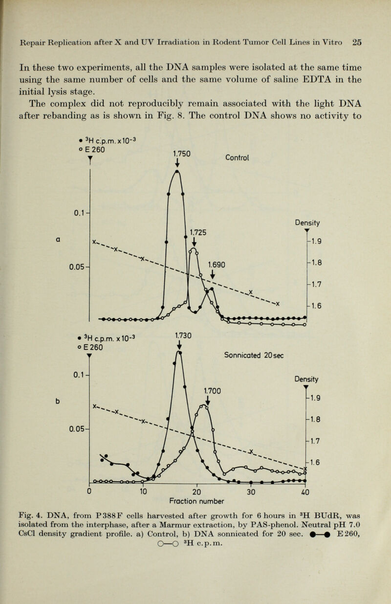 In these two experiments, all the DNA samples were isolated at the same time using the same number of cells and the same volume of saline EDTA in the initial lysis stage. The complex did not reproducibly remain associated with the light DNA after rebanding as is shown in Fig. 8. The control DNA shows no activity to • 3 H c.p.m.xIO 3 o E260 T 1.750 I Control • 3 H c.p.m. x 10‘ 3 o E260 1.730 Fig. 4. DNA, from P388F cells harvested after growth for 6 hours in 3 H BUdR, was isolated from the interphase, after a Marmur extraction, by PAS-phenol. Neutral pH 7.0 CsCl density gradient profile, a) Control, b) DNA sonnicated for 20 sec. •—# E260, O—O 3 H c.p.m.