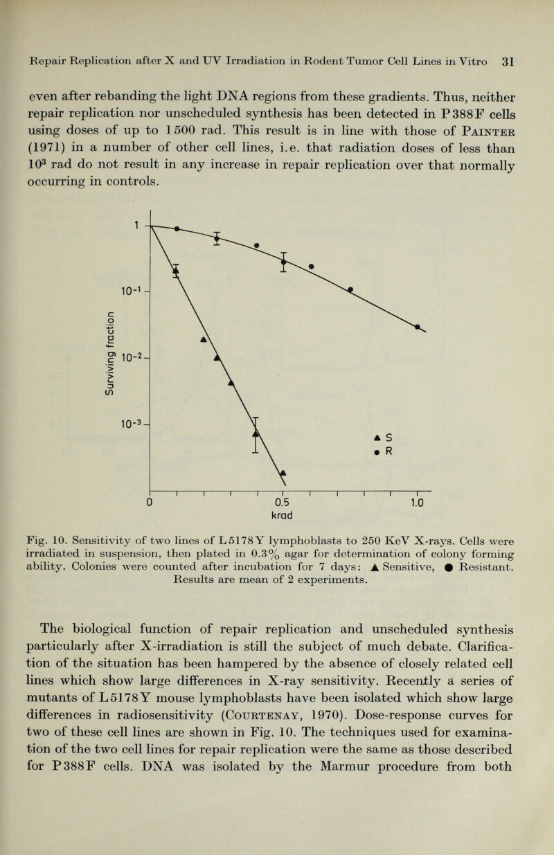 even after rebanding the light DNA regions from these gradients. Thus, neither repair replication nor unscheduled synthesis has been detected in P388F cells using doses of up to 1 500 rad. This result is in line with those of Painter (1971) in a number of other cell lines, i.e. that radiation doses of less than 10 3 rad do not result in any increase in repair replication over that normally occurring in controls. Fig. 10. Sensitivity of two lines of L5178Y lymphoblasts to 250 KeV X-rays. Cells were irradiated in suspension, then plated in 0.3% agar for determination of colony forming ability. Colonies were counted after incubation for 7 days: A Sensitive, • Resistant. Results are mean of 2 experiments. The biological function of repair replication and unscheduled synthesis particularly after X-irradiation is still the subject of much debate. Clarifica tion of the situation has been hampered by the absence of closely related cell lines which show large differences in X-ray sensitivity. Recently a series of mutants of LSI78 Y mouse lymphoblasts have been isolated which show large differences in radiosensitivity (Courtenay, 1970). Dose-response curves for two of these cell lines are shown in Fig. 10. The techniques used for examina tion of the two cell lines for repair replication were the same as those described for P388F cells. DNA was isolated by the Marmur procedure from both