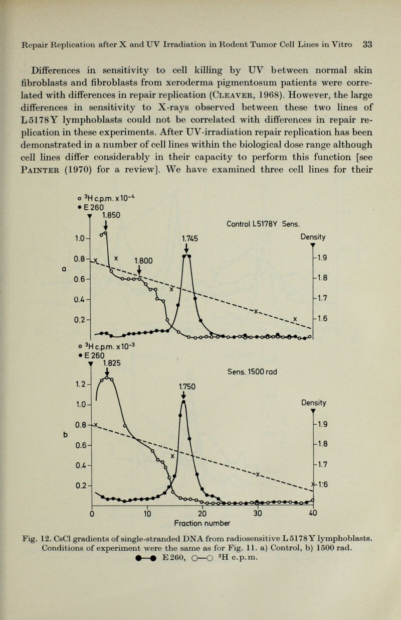 Differences in sensitivity to cell killing by UV between normal skin fibroblasts and fibroblasts from xeroderma pigmentosum patients were corre lated with differences in repair replication (Cleaver, 1968). However, the large differences in sensitivity to X-rays observed between these two lines of L5178Y lymphoblasts could not be correlated with differences in repair re plication in these experiments. After UV-irradiation repair replication has been demonstrated in a number of cell lines within the biological dose range although cell lines differ considerably in their capacity to perform this function [see Painter (1970) for a review]. We have examined three cell lines for their ° 3 H c.p.m. x10 -4 • E260 ° 3 H c.p.m. x10 -3 • E 260 Fig. 12. CsCl gradients of single-stranded DNA from radiosensitive L 5178 Y lymphoblasts. Conditions of experiment were the same as for Fig. 11. a) Control, b) 1500 rad. •—• E260, O—O 3 H c.p.m.