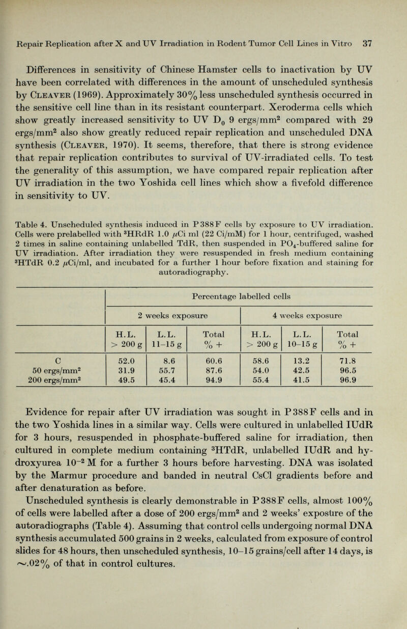 Differences in sensitivity of Chinese Hamster cells to inactivation by UV have been correlated with differences in the amount of unscheduled synthesis by Cleaver (1969). Approximately 30% less unscheduled synthesis occurred in the sensitive cell line than in its resistant counterpart. Xeroderma cells which show greatly increased sensitivity to UV D 0 9 ergs/mm 2 compared with 29 ergs/mm 2 also show greatly reduced repair replication and unscheduled DNA synthesis (Cleaver, 1970). It seems, therefore, that there is strong evidence that repair replication contributes to survival of UV-irradiated cells. To test the generality of this assumption, we have compared repair replication after UV irradiation in the two Yoshida cell lines which show a fivefold difference in sensitivity to UV. Table 4. Unscheduled synthesis induced in P388F cells by exposure to UV irradiation. Cells were prelabelled with 3 HRdR 1.0 fx Ci ml (22 Ci/mM) for 1 hour, centrifuged, washed 2 times in saline containing unlabelled TdR, then suspended in P0 4 -buffered saline for UV irradiation. After irradiation they were resuspended in fresh medium containing 3 HTdR 0.2 ^Ci/ml, and incubated for a further 1 hour before fixation and staining for autoradiography. Percentage labelled cells 2 weeks exposure 4 weeks exposure H.L. L.L. Total H.L. L.L. Total > 200 g H-15 g % + > 200 g 10-15 g O/ i /o + c 52.0 8.6 60.6 58.6 13.2 71.8 50 ergs/mm 2 31.9 55.7 87.6 54.0 42.5 96.5 200 ergs/mm 2 49.5 45.4 94.9 55.4 41.5 96.9 Evidence for repair after UV irradiation was sought in P388F cells and in the two Yoshida lines in a similar way. Cells were cultured in unlabelled IUdR for 3 hours, resuspended in phosphate-buffered saline for irradiation, then cultured in complete medium containing 3 HTdR, unlabelled IUdR and hy droxyurea 10~ 2 M for a further 3 hours before harvesting. DNA was isolated by the Marmur procedure and banded in neutral CsCl gradients before and after denaturation as before. Unscheduled synthesis is clearly demonstrable in P388F cells, almost 100% of cells were labelled after a dose of 200 ergs/mm 2 and 2 weeks’ exposure of the autoradiographs (Table 4). Assuming that control cells undergoing normal DNA synthesis accumulated 500 grains in 2 weeks, calculated from exposure of control slides for 48 hours, then unscheduled synthesis, 10-15 grains/cell after 14 days, is '*>-'.02% of that in control cultures.