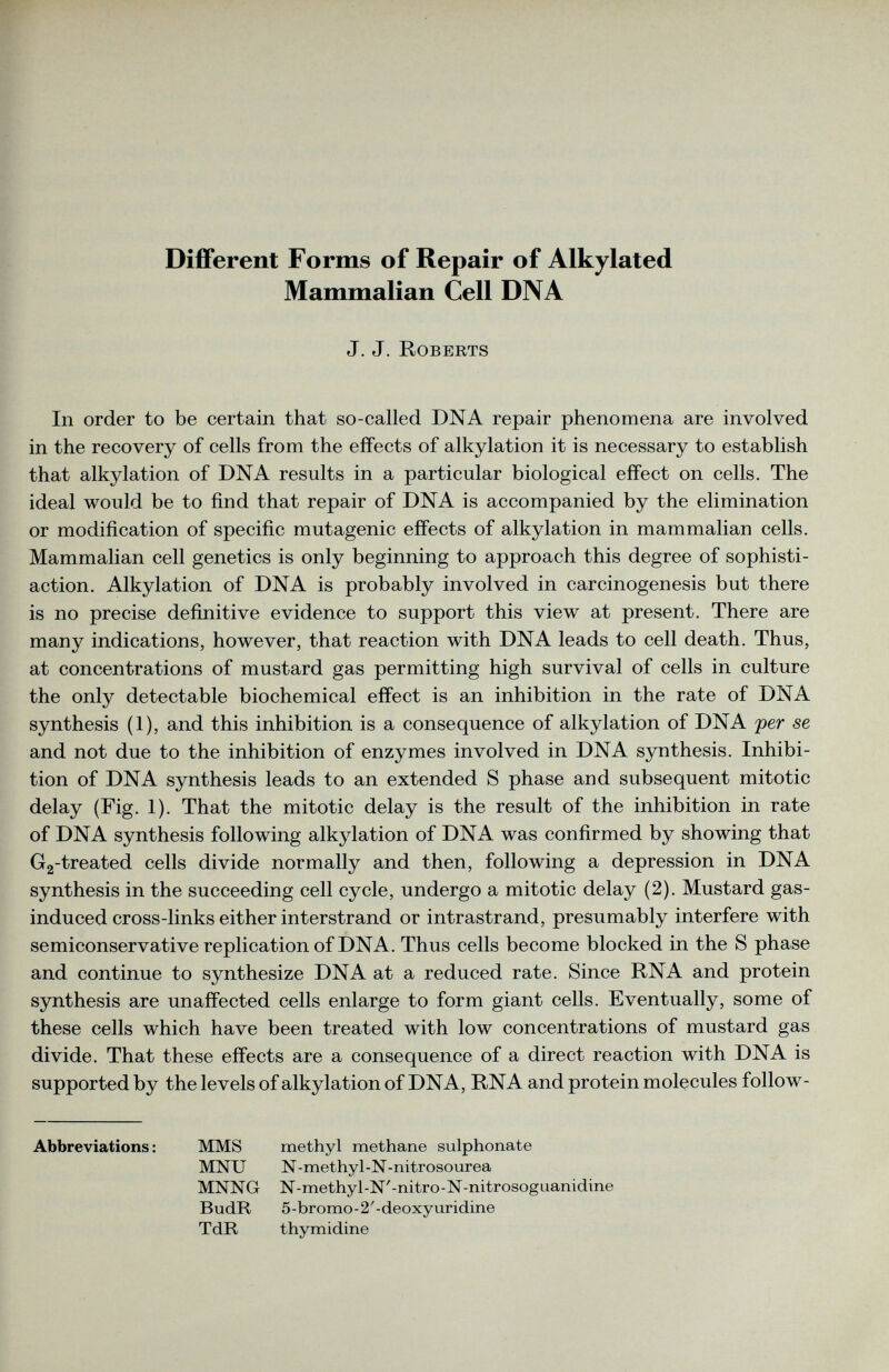 Different Forms of Repair of Alkylated Mammalian Cell DNA J. J. Roberts In order to be certain that so-called DNA repair phenomena are involved in the recovery of cells from the effects of alkylation it is necessary to establish that alkylation of DNA results in a particular biological effect on cells. The ideal would be to find that repair of DNA is accompanied by the elimination or modification of specific mutagenic effects of alkylation in mammalian cells. Mammalian cell genetics is only beginning to approach this degree of sophisti- action. Alkylation of DNA is probably involved in carcinogenesis but there is no precise definitive evidence to support this view at present. There are many indications, however, that reaction with DNA leads to cell death. Thus, at concentrations of mustard gas permitting high survival of cells in culture the only detectable biochemical effect is an inhibition in the rate of DNA synthesis (1), and this inhibition is a consequence of alkylation of DNA per se and not due to the inhibition of enzymes involved in DNA synthesis. Inhibi tion of DNA synthesis leads to an extended S phase and subsequent mitotic delay (Fig. 1). That the mitotic delay is the result of the inhibition in rate of DNA synthesis following alkylation of DNA was confirmed by showing that G 2 -treated cells divide normally and then, following a depression in DNA synthesis in the succeeding cell cycle, undergo a mitotic delay (2). Mustard gas- induced cross-links either interstrand or intrastrand, presumably interfere with semiconservative replication of DNA. Thus cells become blocked in the S phase and continue to synthesize DNA at a reduced rate. Since RNA and protein synthesis are unaffected cells enlarge to form giant cells. Eventually, some of these cells which have been treated with low concentrations of mustard gas divide. That these effects are a consequence of a direct reaction with DNA is supported by the levels of alkylation of DNA, RNA and protein molecules follow- Abbreviations : MMS methyl methane sulphonate MNU N-methyl-N-nitrosourea MNNG N-methyl-N'-nitro-N-nitrosoguanidine BudR 5-bromo-2'-deoxyuridine TdR thymidine