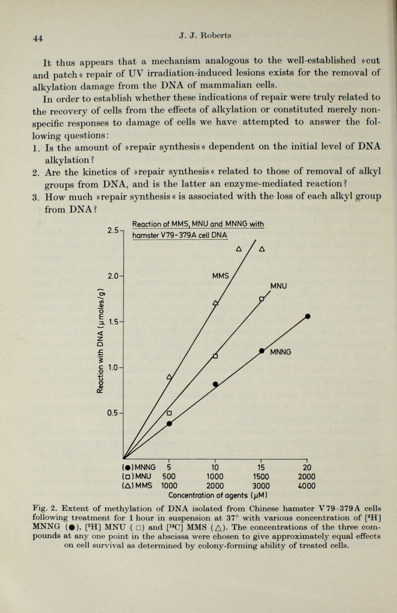 It thus appears that a mechanism analogous to the well-established »cut and patch « repair of UV irradiation-induced lesions exists for the removal of alkylation damage from the DNA of mammalian cells. In order to establish whether these indications of repair were truly related to the recovery of cells from the effects of alkylation or constituted merely non specific responses to damage of cells we have attempted to answer the fol lowing questions: 1. Is the amount of »repair synthesis« dependent on the initial level of DNA alkylation ? 2. Are the kinetics of »repair synthesis« related to those of removal of alkyl groups from DNA, and is the latter an enzyme-mediated reaction? 3. How much »repair synthesis« is associated with the loss of each alkyl group from DNA? (□) MNU 500 1000 1500 2000 (A)MMS 1000 2000 3000 4000 Concentration of agents (pM) Fig. 2. Extent of methylation of DNA isolated from Chinese hamster V79-379A cells following treatment for 1 hour in suspension at 37° with various concentration of [ 3 H] MNNG (#), [ 3 H] MNU ( □) and [ 14 C] MMS (A)- The concentrations of the three com pounds at any one point in the abscissa were chosen to give approximately equal effects on cell survival as determined by colony-forming ability of treated cells.