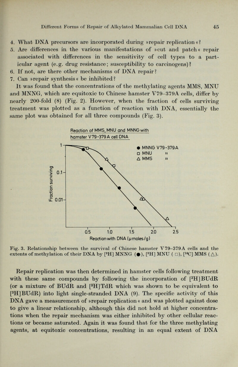 4. What DNA precursors are incorporated during »repair replication«? 5. Are differences in the various manifestations of »cut and patch« repair associated with differences in the sensitivity of cell types to a part icular agent (e.g. drug resistance; susceptibility to carcinogens)? 6. If not, are there other mechanisms of DNA repair? 7. Can »repair synthesis« be inhibited? It was found that the concentrations of the methylating agents MMS, MNU and MNNG, which are equitoxic to Chinese hamster V79-379A cells, differ by nearly 200-fold (8) (Fig. 2). However, when the fraction of cells surviving treatment was plotted as a function of reaction with DNA, essentially the same plot was obtained for all three compounds (Fig. 3). Reaction of MMS, MNU and MNNG with hamster V79-379 A cell DNA Reaction with DNA (pmoles/g) Fig. 3. Relationship between the survival of Chinese hamster V 79-379 A cells and the extents of methylation of their DNA by [ 3 H] MNNG (#), [ 3 H] MNU ( □), [ 14 C] MMS (A)- Repair replication was then determined in hamster cells following treatment with these same compounds by following the incorporation of [ 3 H]BUdR (or a mixture of BUdR and [ 3 H]TdR which was shown to be equivalent to [ 3 H]BUdR) into light single-stranded DNA (9). The specific activity of this DNA gave a measurement of »repair replication« and was plotted against dose to give a linear relationship, although this did not hold at higher concentra tions when the repair mechanism was either inhibited by other cellular reac tions or became saturated. Again it was found that for the three methylating agents, at equitoxic concentrations, resulting in an equal extent of DNA