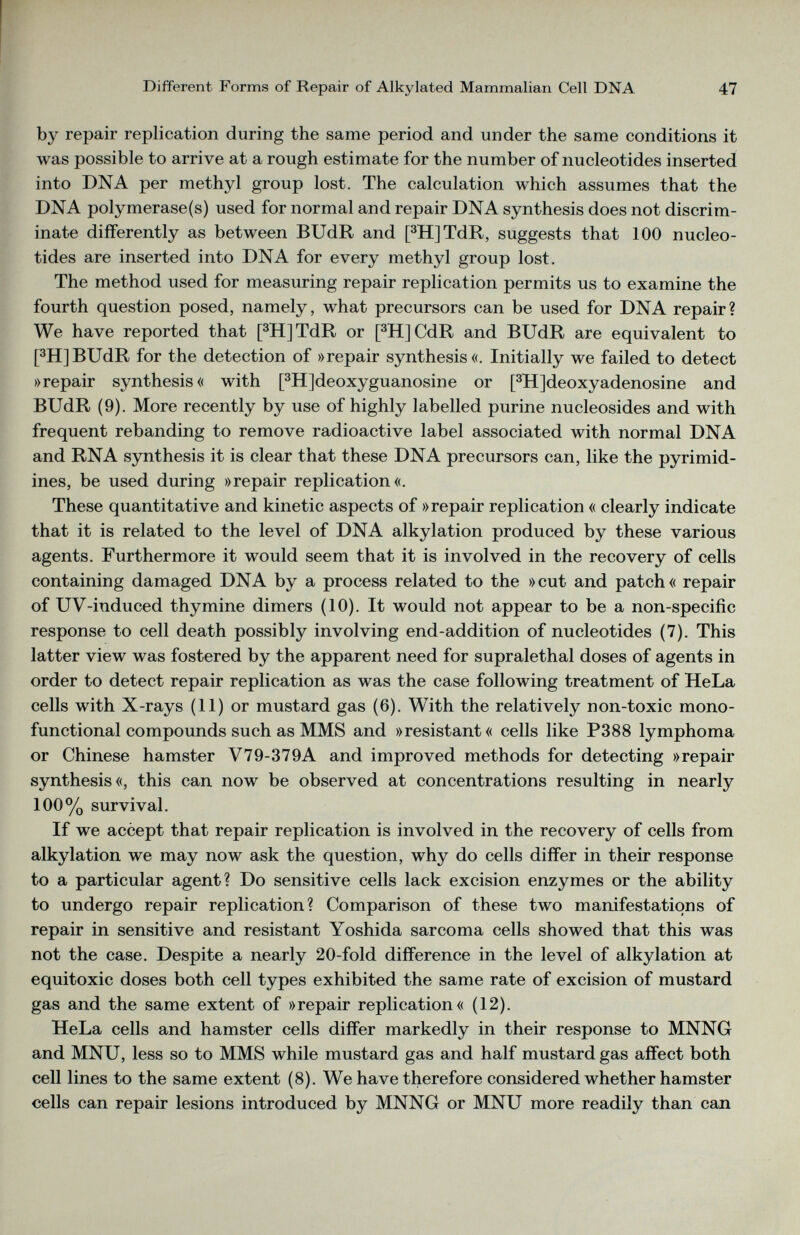 by repair replication during the same period and under the same conditions it was possible to arrive at a rough estimate for the number of nucleotides inserted into DNA per methyl group lost. The calculation which assumes that the DNA polymerase(s) used for normal and repair DNA synthesis does not discrim inate differently as between BUdR and [ 3 H]TdR, suggests that 100 nucleo tides are inserted into DNA for every methyl group lost. The method used for measuring repair replication permits us to examine the fourth question posed, namely, what precursors can be used for DNA repair? We have reported that [ 3 H]TdR or [ 3 H]CdR and BUdR are equivalent to [ 3 H]BUdR for the detection of »repair synthesis«. Initially we failed to detect »repair synthesis« with [ 3 H]deoxyguanosine or [ 3 H]deoxyadenosine and BUdR (9). More recently by use of highly labelled purine nucleosides and with frequent rebanding to remove radioactive label associated with normal DNA and RNA synthesis it is clear that these DNA precursors can, like the pyrimid ines, be used during »repair replication«. These quantitative and kinetic aspects of »repair replication « clearly indicate that it is related to the level of DNA alkylation produced by these various agents. Furthermore it would seem that it is involved in the recovery of cells containing damaged DNA by a process related to the »cut and patch« repair of UV-iuduced thymine dimers (10). It would not appear to be a non-specific response to cell death possibly involving end-addition of nucleotides (7). This latter view was fostered by the apparent need for supralethal doses of agents in order to detect repair replication as was the case following treatment of HeLa cells with X-rays (11) or mustard gas (6). With the relatively non-toxic mono functional compounds such as MMS and »resistant« cells like P388 lymphoma or Chinese hamster V79-379A and improved methods for detecting »repair synthesis«, this can now be observed at concentrations resulting in nearly 100% survival. If we accept that repair replication is involved in the recovery of cells from alkylation we may now ask the question, why do cells differ in their response to a particular agent? Do sensitive cells lack excision enzymes or the ability to undergo repair replication? Comparison of these two manifestations of repair in sensitive and resistant Yoshida sarcoma cells showed that this was not the case. Despite a nearly 20-fold difference in the level of alkylation at equitoxic doses both cell types exhibited the same rate of excision of mustard gas and the same extent of »repair replication« (12). HeLa cells and hamster cells differ markedly in their response to MNNG and MNU, less so to MMS while mustard gas and half mustard gas affect both cell lines to the same extent (8). We have therefore considered whether hamster cells can repair lesions introduced by MNNG or MNU more readily than can