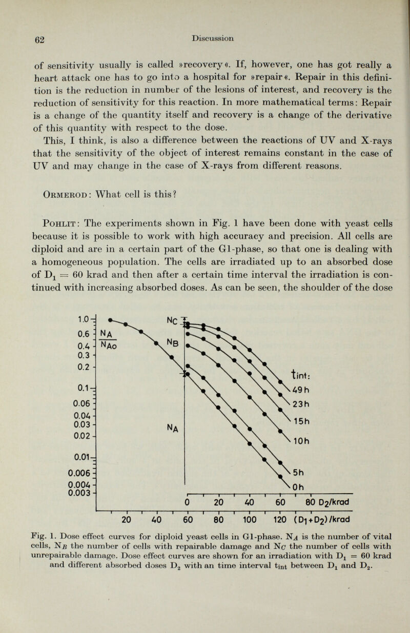 of sensitivity usually is called »recovery«. If, however, one has got really a heart attack one has to go into a hospital for »repair«. Repair in this defini tion is the reduction in number of the lesions of interest, and recovery is the reduction of sensitivity for this reaction. In more mathematical terms: Repair is a change of the quantity itself and recovery is a change of the derivative of this quantity with respect to the dose. This, I think, is also a difference between the reactions of UV and X-rays that the sensitivity of the object of interest remains constant in the case of UV and may change in the case of X-rays from different reasons. Ormerod : What cell is this ? Pohlit: The experiments shown in Fig. 1 have been done with yeast cells because it is possible to work with high accuracy and precision. All cells are diploid and are in a certain part of the Gl-phase, so that one is dealing with a homogeneous population. The cells are irradiated up to an absorbed dose of Di = 60 krad and then after a certain time interval the irradiation is con tinued with increasing absorbed doses. As can be seen, the shoulder of the dose Fig. 1 . Dose effect curves for diploid yeast cells in Gl-phase. N 4 is the number of vital cells, N.b the number of cells with repairable damage and No the number of cells with unrepairable damage. Dose effect curves are shown for an irradiation with D x = 60 krad and different absorbed doses D 2 with an time interval tint between D x and D 2 .