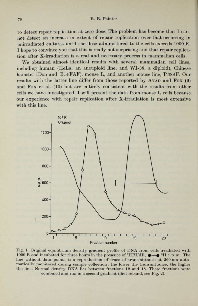 to detect repair replication at zero dose. The problem has become that I can not detect an increase in extent of repair replication over that occurring in unirradiated cultures until the dose administered to the cells exceeds 1000 R. I hope to convince you that this is really not surprising and that repair replica tion after X-irradiation is a real and necessary process in mammalian cells. We obtained almost identical results with several mammalian cell lines, including human (HeLa, an aneuploid line, and WI-38, a diploid), Chinese hamster (Don and B14FAF), mouse L, and another mouse line, P388F. Our results with the latter line differ from those reported by Ayad and Fox (9) and Fox et al. (10) but are entirely consistent with the results from other cells we have investigated. I will present the data from mouse L cells because our experience with repair replication after X-irradiation is most extensive with this line. Fig. 1. Original equilibrium density gradient profile of DNA from cells irradiated with 1000 R and incubated for three hours in the presence of 3 HBUdR, •—• 3 H c.p.m. The line without data points is a reproduction of trace of transmittance at 260 nm auto matically monitored during sample collection; the lower the transmittance, the higher the line. Normal density DNA lies between fractions 12 and 18. These fractions were combined and run in a second gradient (first reband, see Fig. 2).