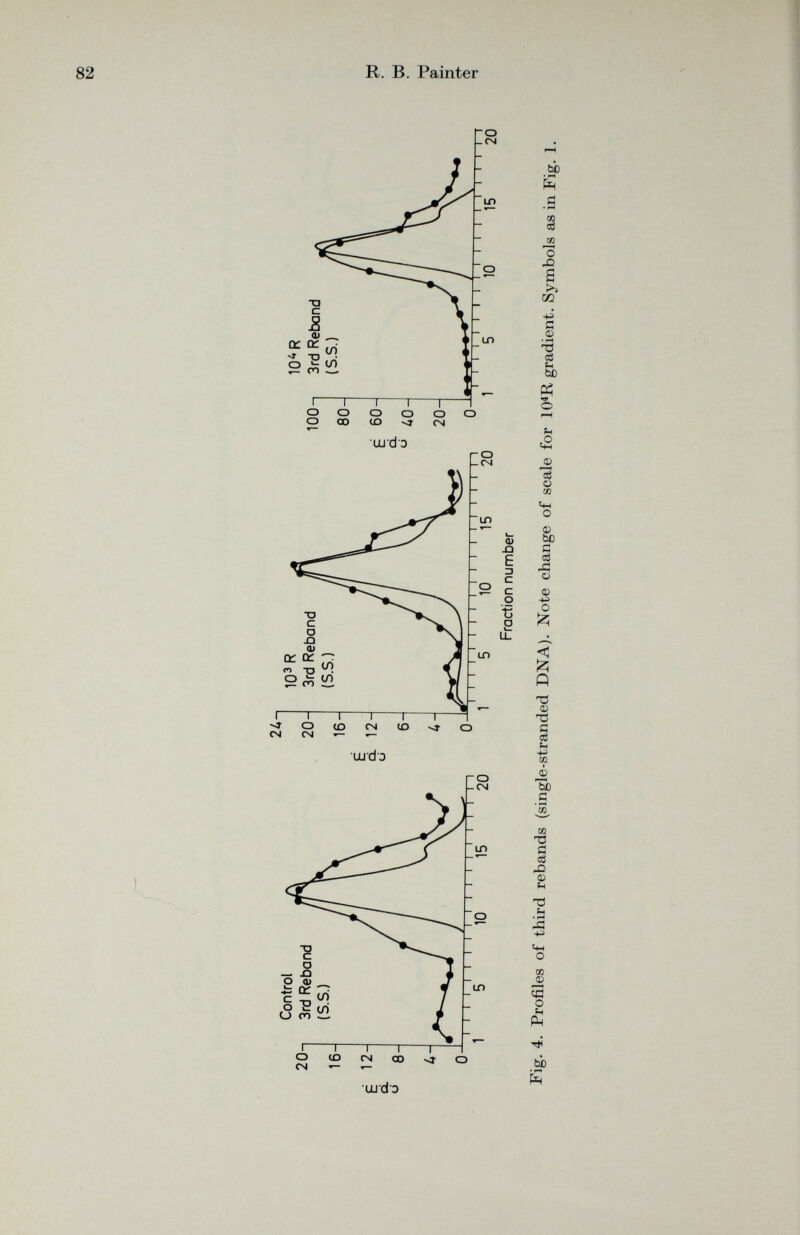 00 te Fig. 4. Profiles of third rebands (single-stranded DNA). Note change of scale for 10 4 R gradient. Symbols as in Fig. 1. R. B. Painter