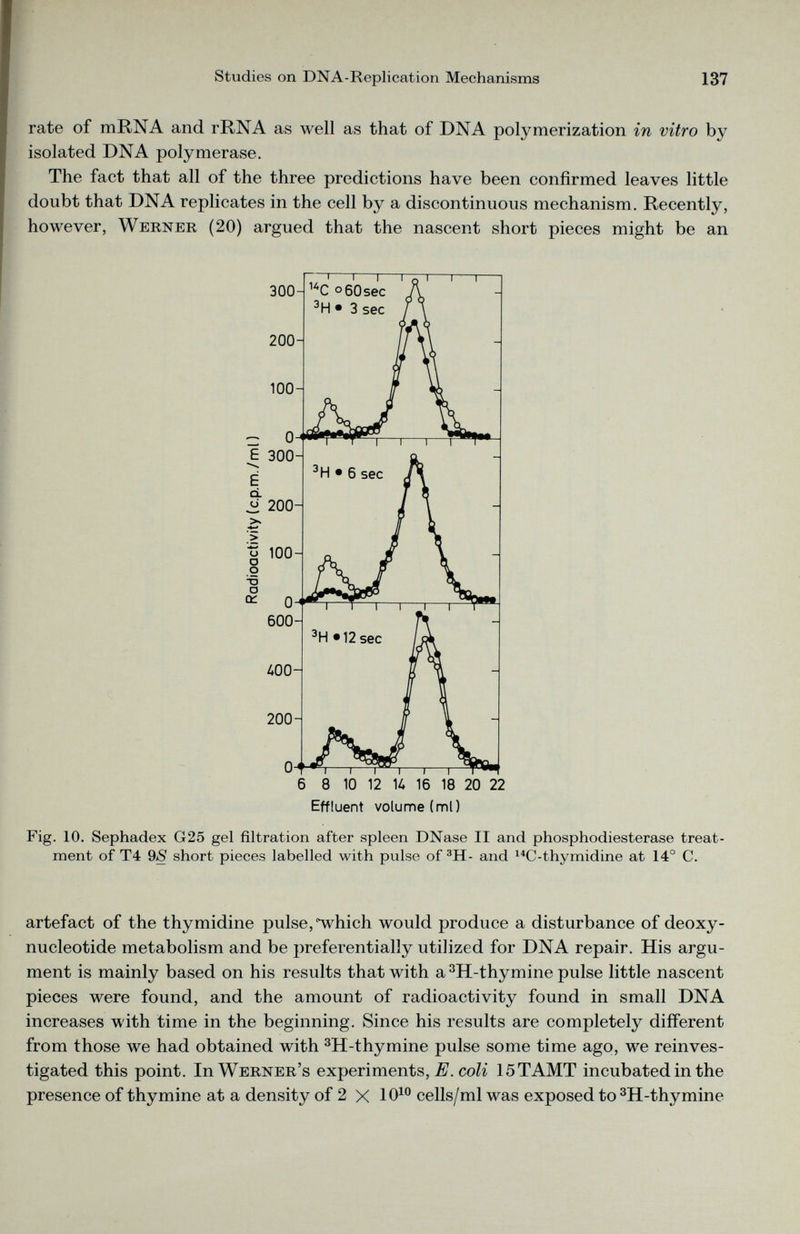 rate of mRNA and rRNA as well as that of DNA polymerization in vitro by isolated DNA polymerase. The fact that all of the three predictions have been confirmed leaves little doubt that DNA replicates in the cell by a discontinuous mechanism. Recently, however, Werner (20) argued that the nascent short pieces might be an Effluent volume (ml) Fig. 10. Sephadex G25 gel filtration after spleen DNase II and phosphodiesterase treat ment of T4 9 S short pieces labelled with pulse of 3 H- and 14 C-thymidine at 14° C. artefact of the thymidine pulse,‘which would produce a disturbance of deoxy- nucleotide metabolism and be preferentially utilized for DNA repair. His argu ment is mainly based on his results that with a 3 H-thymine pulse little nascent pieces were found, and the amount of radioactivity found in small DNA increases with time in the beginning. Since his results are completely different from those we had obtained with 3 H-thymine pulse some time ago, we reinves tigated this point. In Werner’s experiments, E. coli 15TAMT incubated in the presence of thymine at a density of 2 X 10 10 cells/ml was exposed to 3 H-thymine