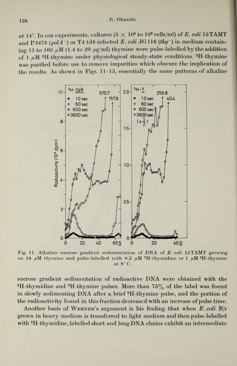 at 14°. In our experiments, cultures (5 X 10 8 to 10 9 cells/ml) of E. coli 15TAMT and P3478 (polA~) or T4 td8-infected E. coli JG116 ( thy~) in medium contain ing 11 to 160 juM. (1.4 to 20 f wg/ml) thymine were pulse-labelled by the addition of 1 //M 3 H-thymine under physiological steady-state conditions. 3 H-thymine was purified before use to remove impurities which obscure the implication of the results. As shown in Figs. 11-15, essentially the same patterns of alkaline Fig. 11. Alkaline sucrose gradient sedimentation of DNA of E.coli 15TAMT growing on 14 //M thymine and pulse-labelled with 0.2. //M 3 H-thymidine or 1 /uM. 3 H-thymine at 8° C. sucrose gradient sedimentation of radioactive DNA were obtained with the 3 H-thymidine and 3 H-thymine pulses. More than 75% of the label was found in slowly sedimenting DNA after a brief 3 H-thymine pulse, and the portion of the radioactivity found in this fraction decreased with an increase of pulse time. Another basis of Werner’s argument is his finding that when E. coli B/r grown in heavy medium is transferred to light medium and then pulse-labelled with 3 H-thymidine, labelled short and long DNA chains exhibit an intermediate