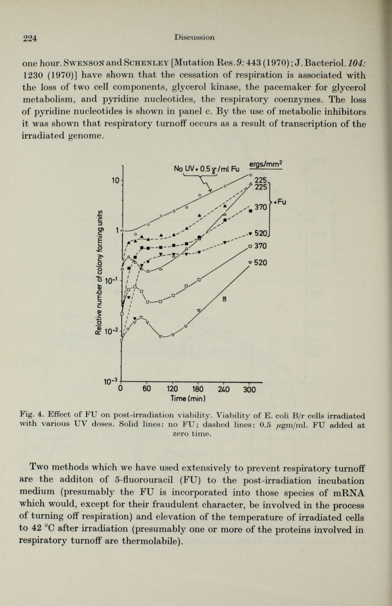 one hour. Swenson and Schenley [Mutation Res. 9:443 (1970); J.Bacteriol.104: 1230 (1970)] have shown that the cessation of respiration is associated with the loss of two cell components, glycerol kinase, the pacemaker for glycerol metabolism, and pyridine nucleotides, the respiratory coenzymes. The loss of pyridine nucleotides is shown in panel c. By the use of metabolic inhibitors it was shown that respiratory turnoff occurs as a result of transcription of the irradiated genome. Time (min) Fig. 4. Effect of FU on post-irradiation viability. Viability of E. coli B/r cells irradiated with various UV doses. Solid lines: no FU ; dashed lines: 0.5 /¿gm/ml. FU added at zero time. Two methods which we have used extensively to prevent respiratory turnoff are the additon of 5-fluorouracil (FU) to the post-irradiation incubation medium (presumably the FU is incorporated into those species of mRNA which would, except for their fraudulent character, be involved in the process of turning off respiration) and elevation of the temperature of irradiated cells to 42 °C after irradiation (presumably one or more of the proteins involved in respiratory turnoff are thermolabile).