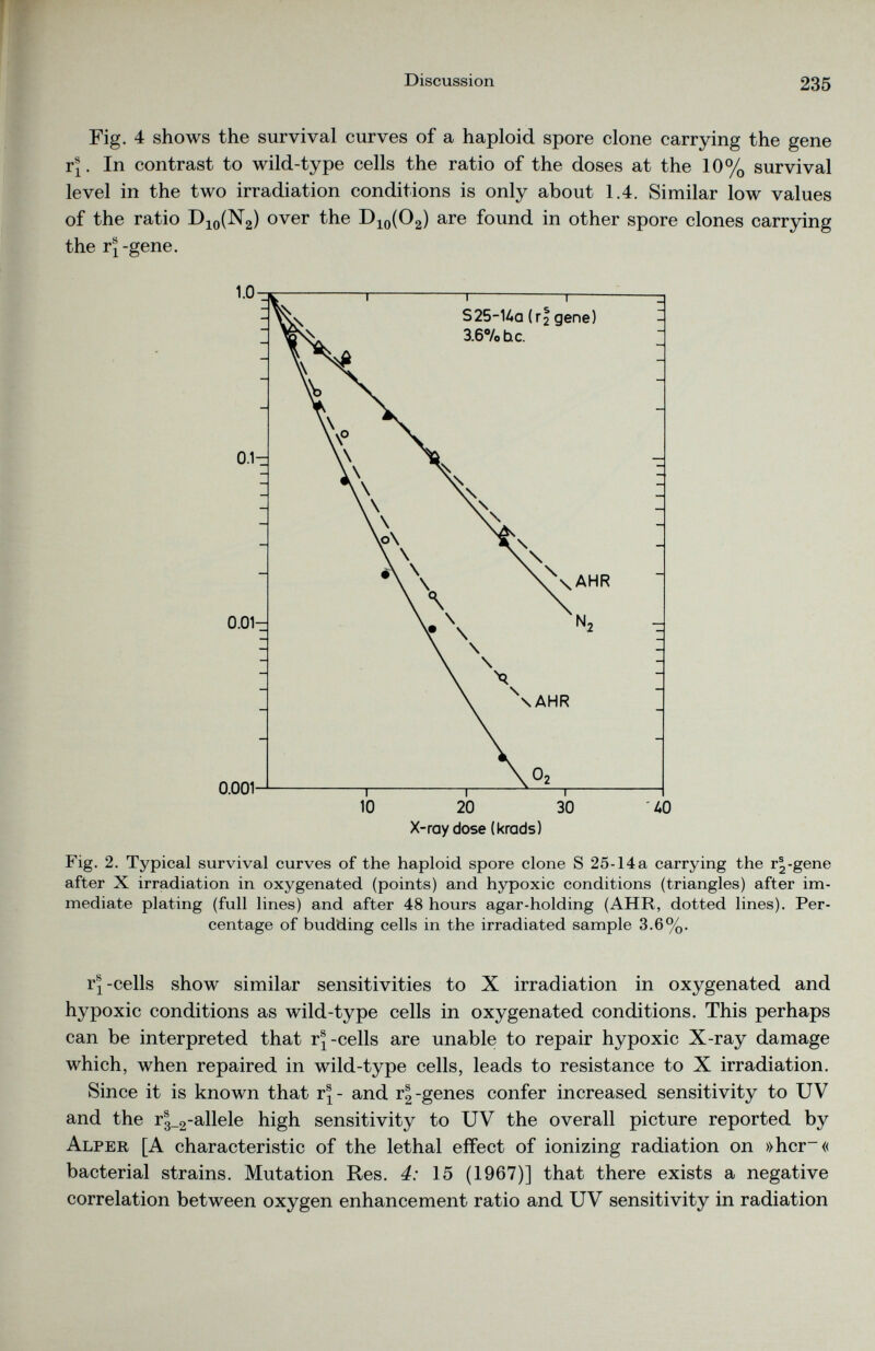 Fig. 4 shows the survival curves of a haploid spore clone carrying the gene r \. In contrast to wild-type cells the ratio of the doses at the 10% survival level in the two irradiation conditions is only about 1.4. Similar low values of the ratio D 10 (N 2 ) over the D 10 (O 2 ) are found in other spore clones carrying the r^-gene. X-ray dose (krads) Fig. 2. Typical survival curves of the haploid spore clone S 25-14a carrying the r|-gene after X irradiation in oxygenated (points) and hypoxic conditions (triangles) after im mediate plating (full lines) and after 48 hours agar-holding (AHR, dotted lines). Per centage of budding cells in the irradiated sample 3.6%. y\ -cells show similar sensitivities to X irradiation in oxygenated and hypoxic conditions as wild-type cells in oxygenated conditions. This perhaps can be interpreted that r®-cells are unable to repair hypoxic X-ray damage which, when repaired in wild-type cells, leads to resistance to X irradiation. Since it is known that r% and r|-genes confer increased sensitivity to UV and the r^-allele high sensitivity to UV the overall picture reported by Alper [A characteristic of the lethal effect of ionizing radiation on »her - « bacterial strains. Mutation Res. 4: 15 (1967)] that there exists a negative correlation between oxygen enhancement ratio and UV sensitivity in radiation