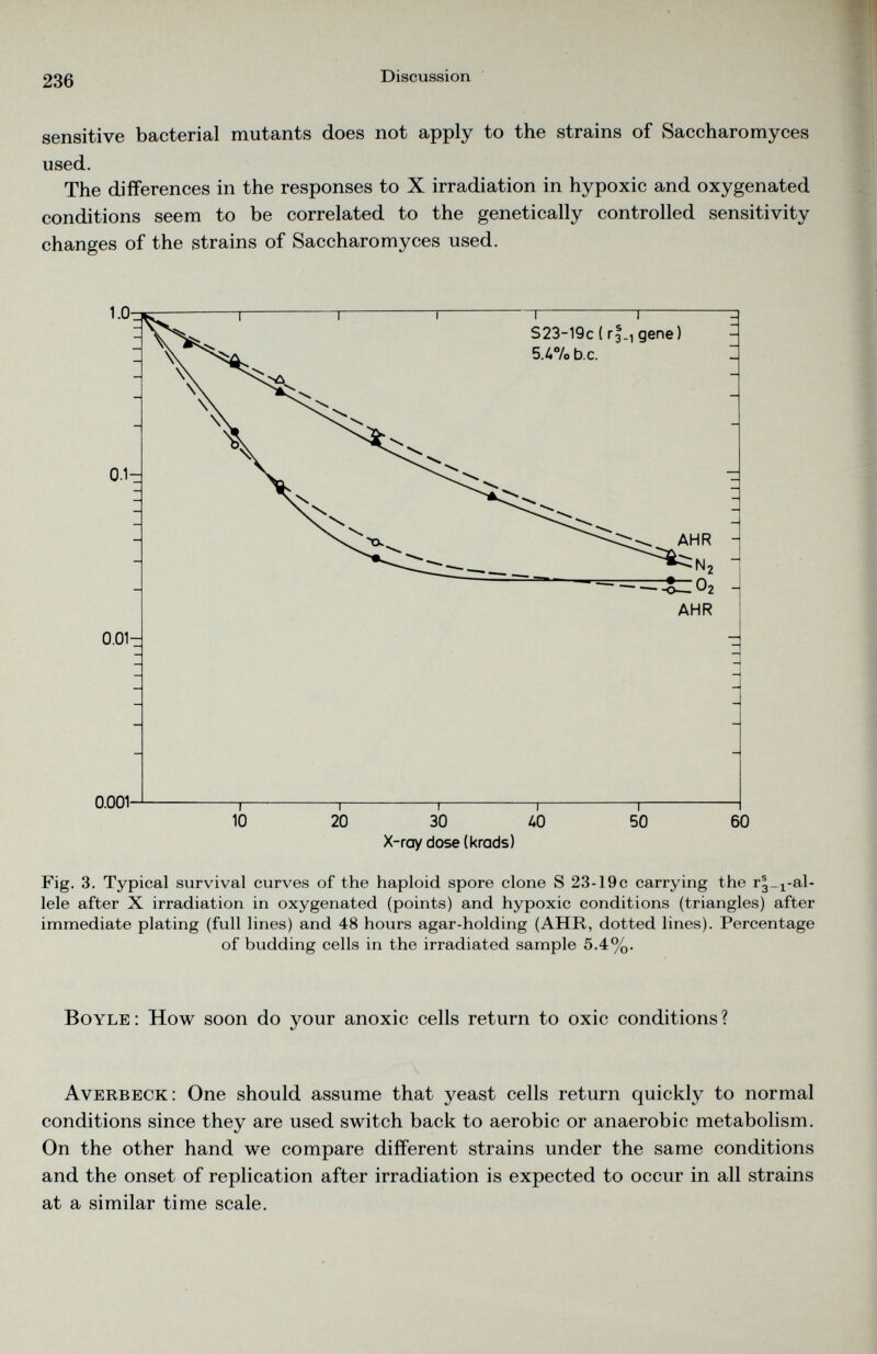 sensitive bacterial mutants does not apply to the strains of Saccharomyces used. The differences in the responses to X irradiation in hypoxic and oxygenated conditions seem to be correlated to the genetically controlled sensitivity changes of the strains of Saccharomyces used. Fig. 3. Typical survival curves of the haploid spore clone S 23-19c carrying the r|_ r al- lele after X irradiation in oxygenated (points) and hypoxic conditions (triangles) after immediate plating (full lines) and 48 hours agar-holding (AHR, dotted lines). Percentage of budding cells in the irradiated sample 5.4%. Boyle : How soon do your anoxic cells return to oxic conditions ? Averbeck: One should assume that yeast cells return quickly to normal conditions since they are used switch back to aerobic or anaerobic metabolism. On the other hand we compare different strains under the same conditions and the onset of replication after irradiation is expected to occur in all strains at a similar time scale.