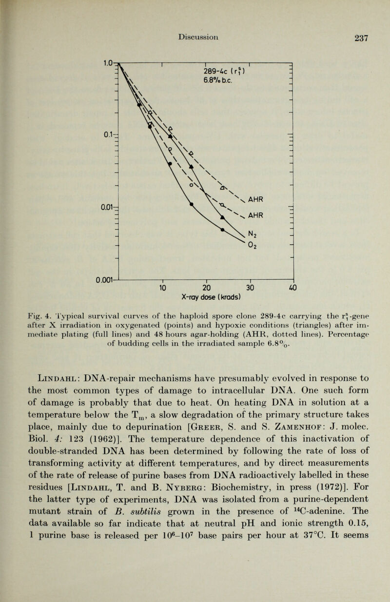 Fig. 4. Typical survival curves of the haploid spore clone 289-4c carrying the r®-gene after X irradiation in oxygenated (points) and hypoxic conditions (triangles) after im mediate plating (full lines) and 48 hours agar-holding (AHR, dotted lines). Percentage of budding cells in the irradiated sample 6.8%. Lindahl : DNA-repair mechanisms have presumably evolved in response to the most common types of damage to intracellular DNA. One such form of damage is probably that due to heat. On heating DNA in solution at a temperature below the T m , a slow degradation of the primary structure takes place, mainly due to depurination [Greer, S. and S. Zamenhof: J. molec. Biol. 4: 123 (1962)]. The temperature dependence of this inactivation of double-stranded DNA has been determined by following the rate of loss of transforming activity at different temperatures, and by direct measurements of the rate of release of purine bases from DNA radioactively labelled in these residues [Lindahl, T. and B. Nyberg: Biochemistry, in press (1972)]. For the latter type of experiments, DNA was isolated from a purine-dependent mutant strain of B. subtilis grown in the presence of 14 C-adenine. The data available so far indicate that at neutral pH and ionic strength 0.15, 1 purine base is released per 10 6 -10 7 base pairs per hour at 37°C. It seems
