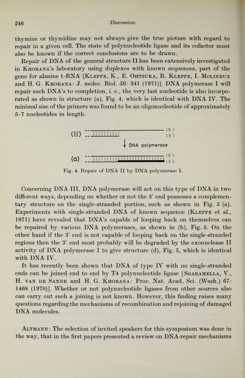 thymine or thymidine may not always give the true picture with regard to repair in a given cell. The state of polynucleotide ligase and its cofactor must also be known if the correct conclusions are to be drawn. Repair of DNA of the general structure II has been extensively investigated in Khorana’s laboratory using duplexes with known sequences, part of the gene for alanine t-RNA [Kleppe, K., E. Ohtsuka, R. Kleppe, I. Molineux and H. G. Khorana: J. molec. Biol. 56: 341 (1971)]. DNA polymerase I will repair such DNA’s to completion, i. e., the very last nucleotide is also incorpo rated as shown in structure (a), Eig. 4, which is identical with DNA IV. The minimal size of the primers was found to be an oligonucleotide of approximately 5-7 nucleotides in length. (11) N ( | DNA polymerase (a) Fig. 4. Repair of DNA II by DNA polymerase I. Concerning DNA III, DNA polymerase will act on this type of DNA in two different ways, depending on whether or not the 3' end possesses a complemen tary structure on the single-stranded portion, such as shown in Fig. 5 (a). Experiments with single-stranded DNA of known sequence (Kleppe et al., 1971) have revealed that DNA’s capable of looping back on themselves can be repaired by various DNA polymerases, as shown in (b), Fig. 5. On the other hand if the 3' end is not capable of looping back on the single-stranded regions then the 3' end most probably will be degraded by the exonuclease II activity of DNA polymerase I to give structure (d), Fig. 5, which is identical with DNA IV. It has recently been shown that DNA of type IV with no single-stranded ends can be joined end to end by T4 polynucleotide ligase [Sgaramella, V., H. van de Sande and H. G. Khorana: Proc. Nat. Acad. Sci. (Wash.) 67: 1468 (1970)]. Whether or not polynucleotide ligases from other sources also can carry out such a joining is not known. However, this finding raises many questions regarding the mechanisms of recombination and rejoining of damaged DNA molecules. Altmann : The selection of invited speakers for this symposium was done in the way, that in the first papers presented a review on DNA-repair mechanisms